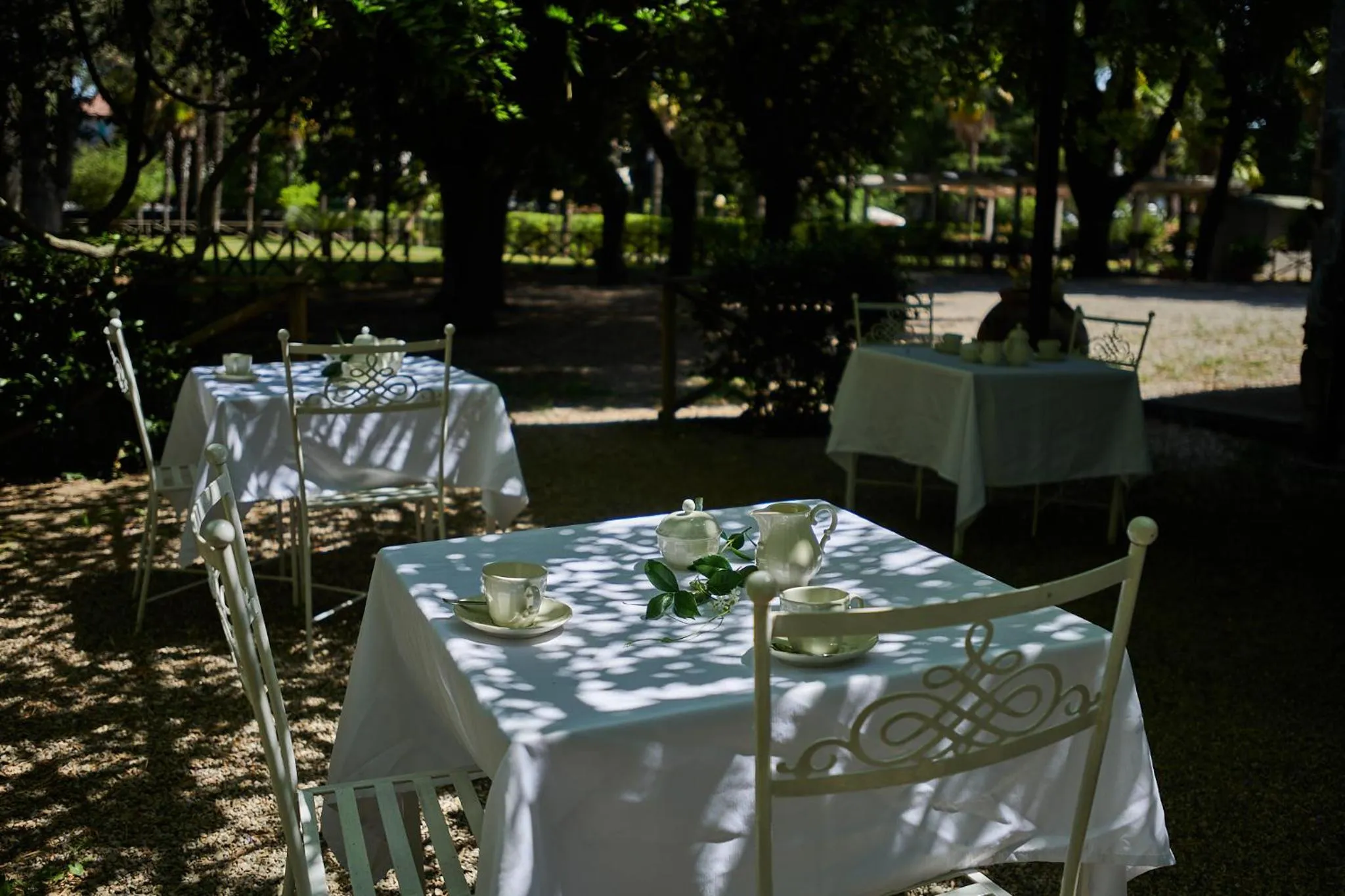 Restaurant/places to eat in Hotel Villa Ciconia