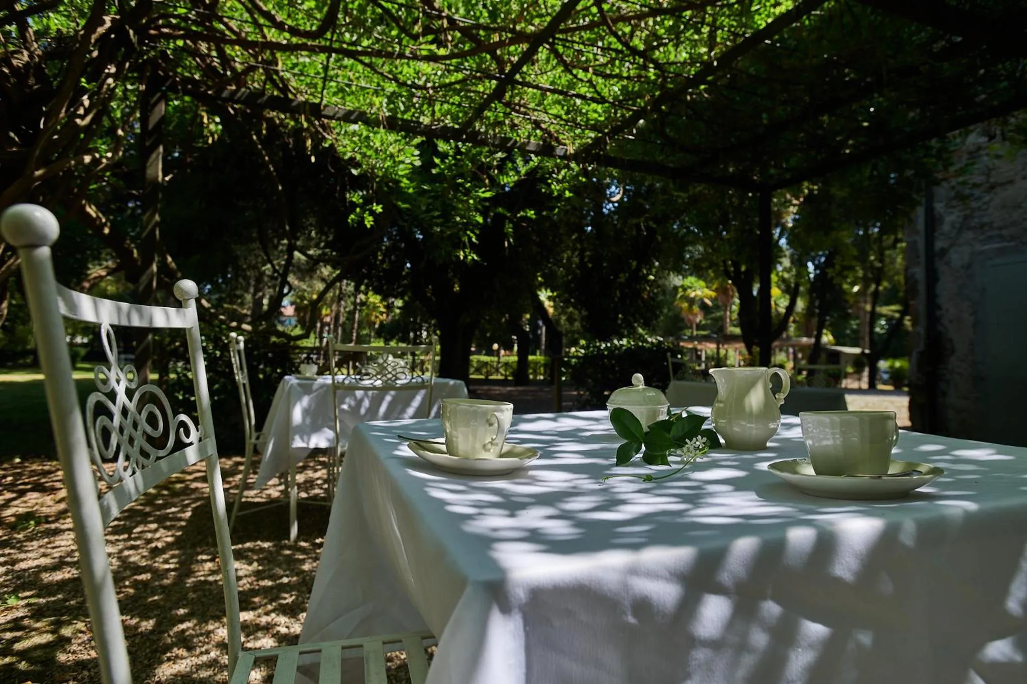 Restaurant/places to eat in Hotel Villa Ciconia