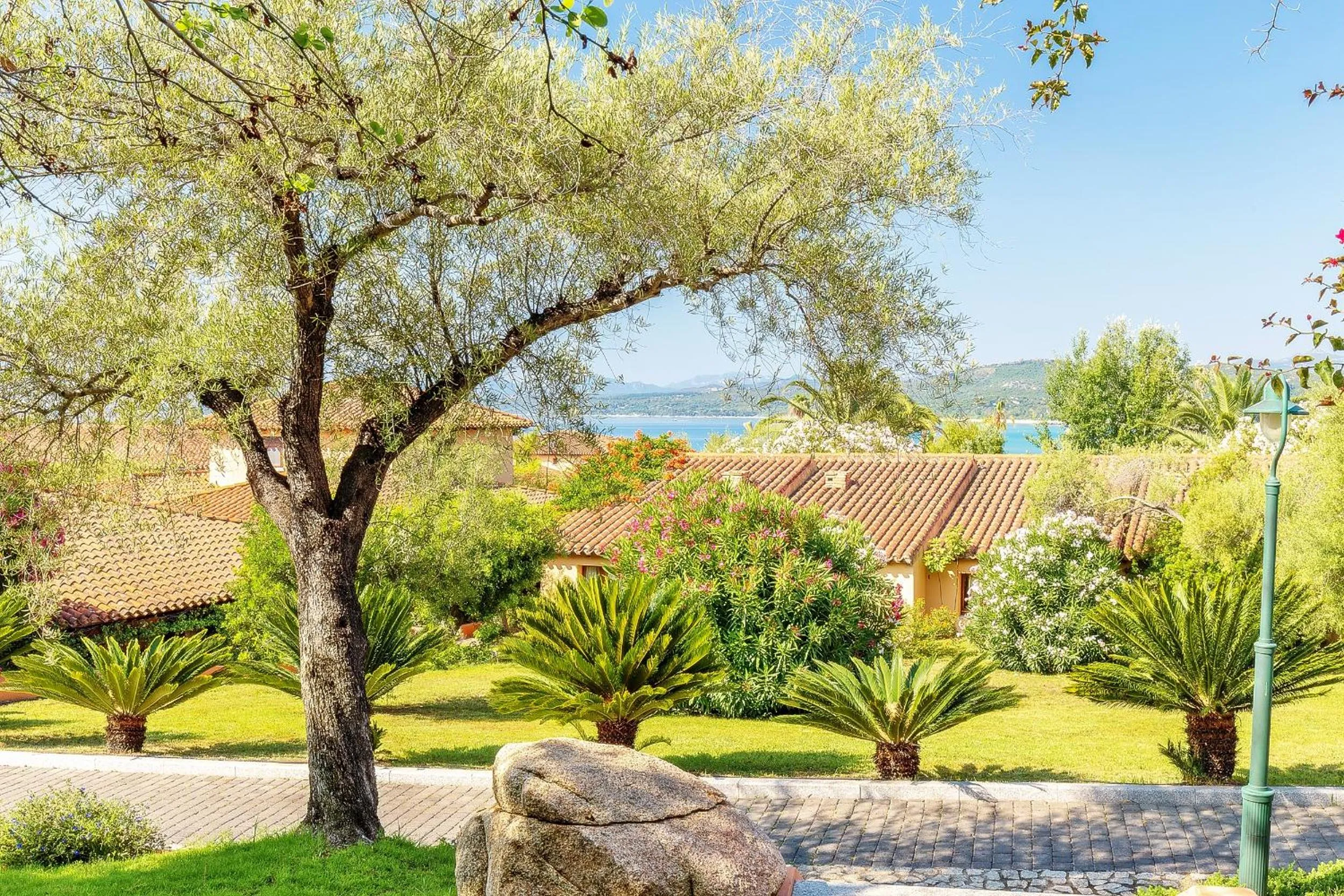 Garden in Hotel Club Saraceno - Bovis Hotels