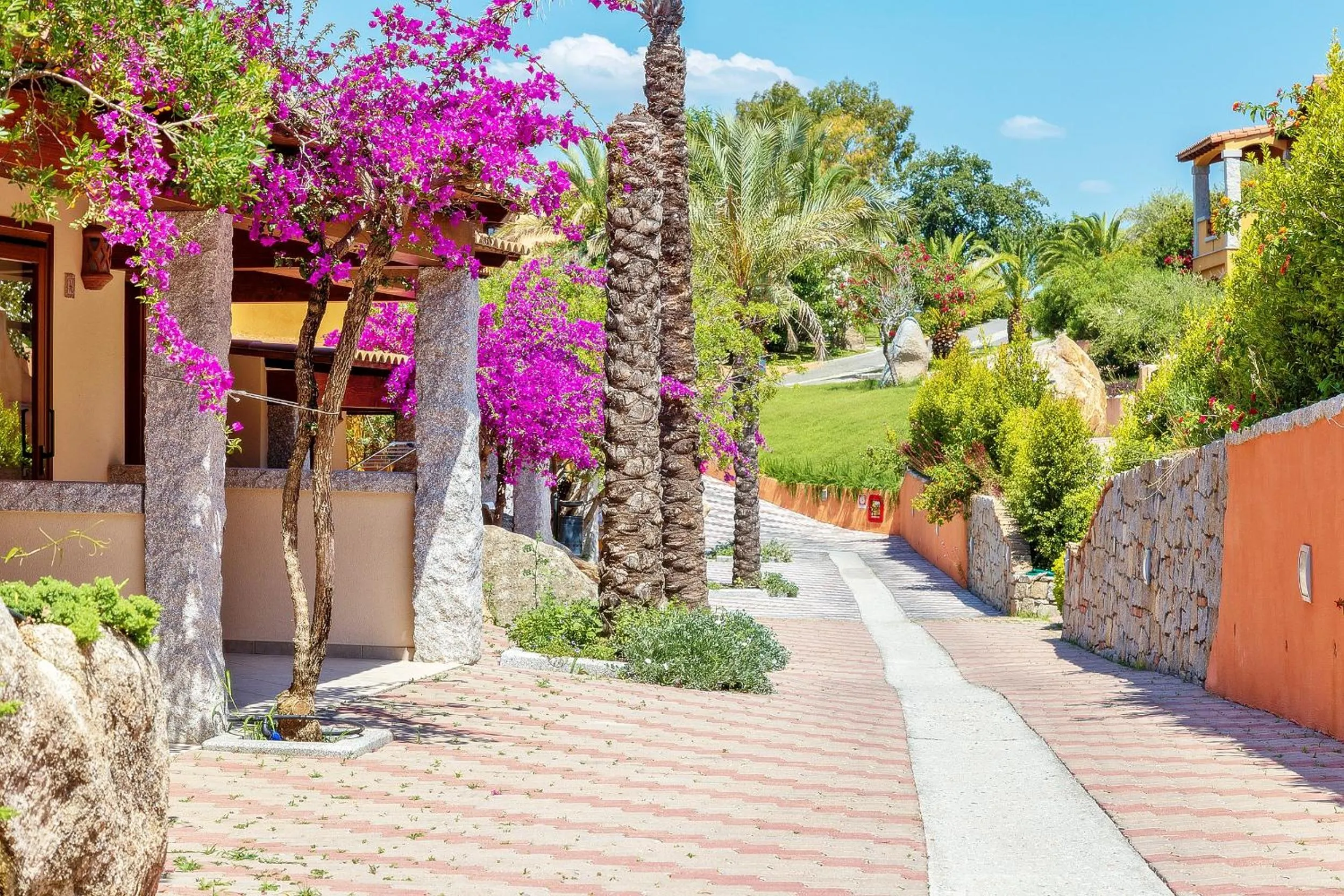 Garden in Hotel Club Saraceno - Bovis Hotels