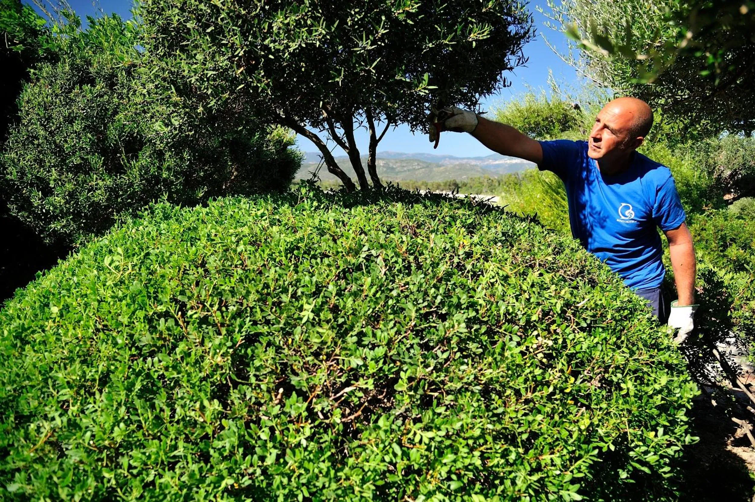 Staff in Hotel Club Saraceno - Bovis Hotels
