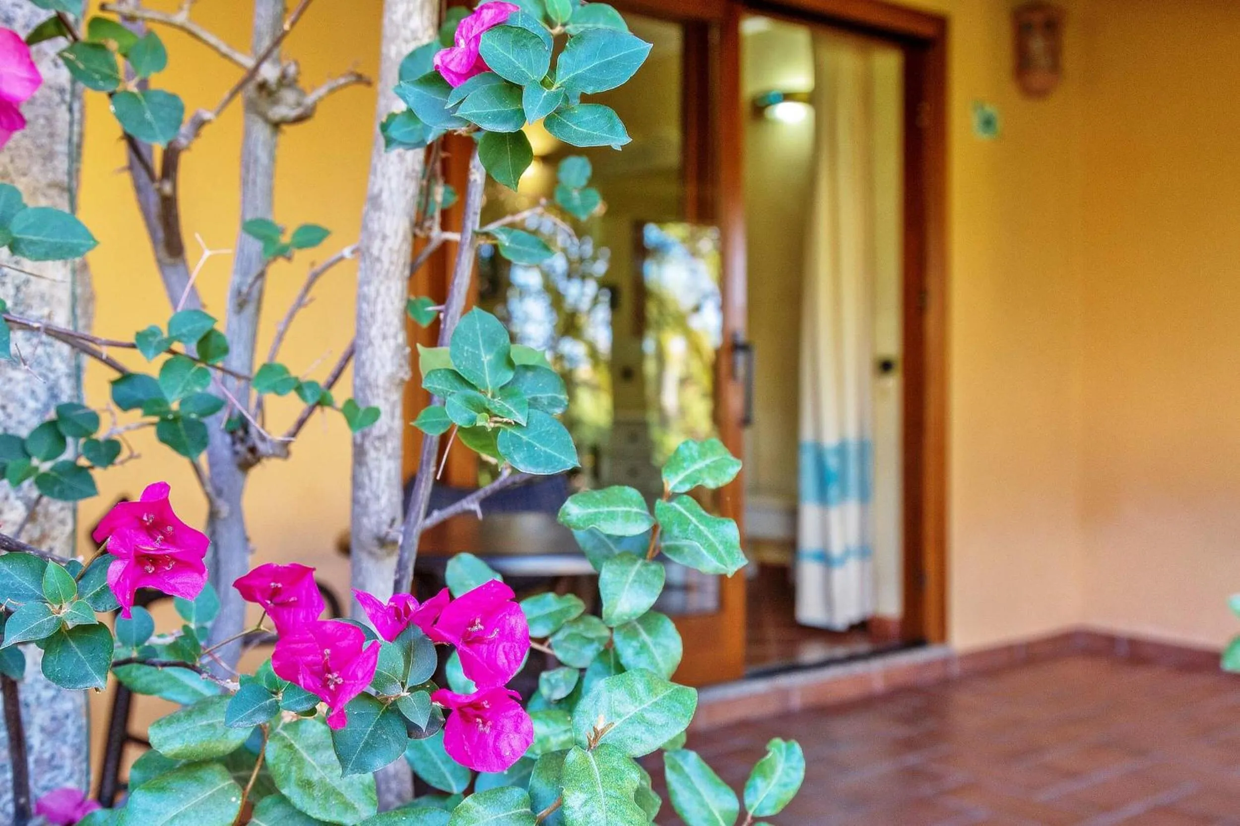 Patio in Hotel Club Saraceno - Bovis Hotels