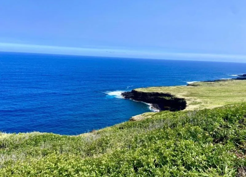 Natural landscape in Black Sands Beach Condo with Full Kitchen