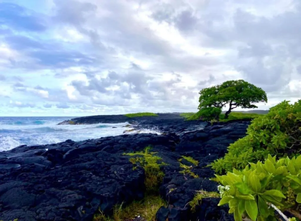 Natural landscape in Black Sands Beach Condo with Full Kitchen