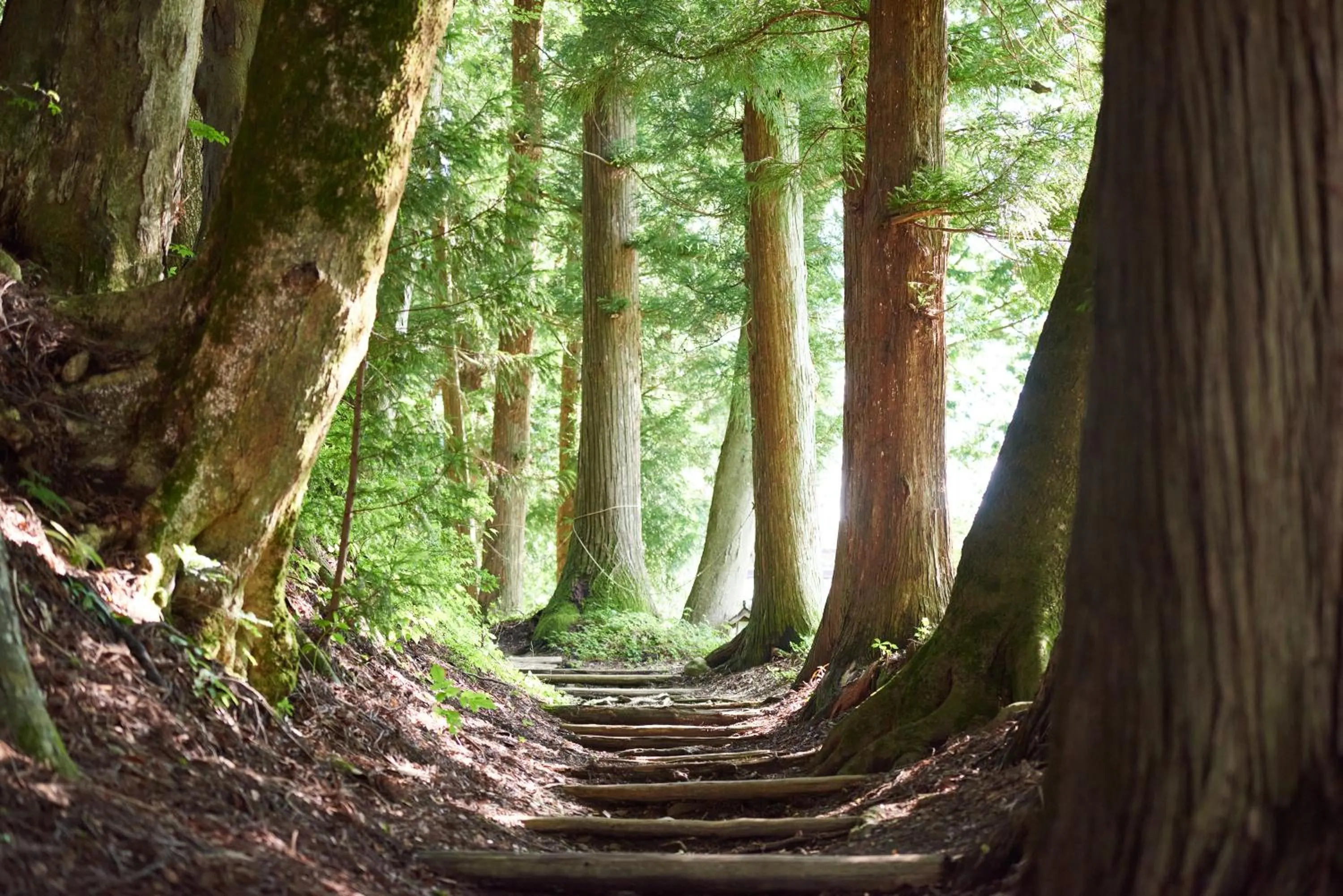 Neighbourhood in BYAKU Narai