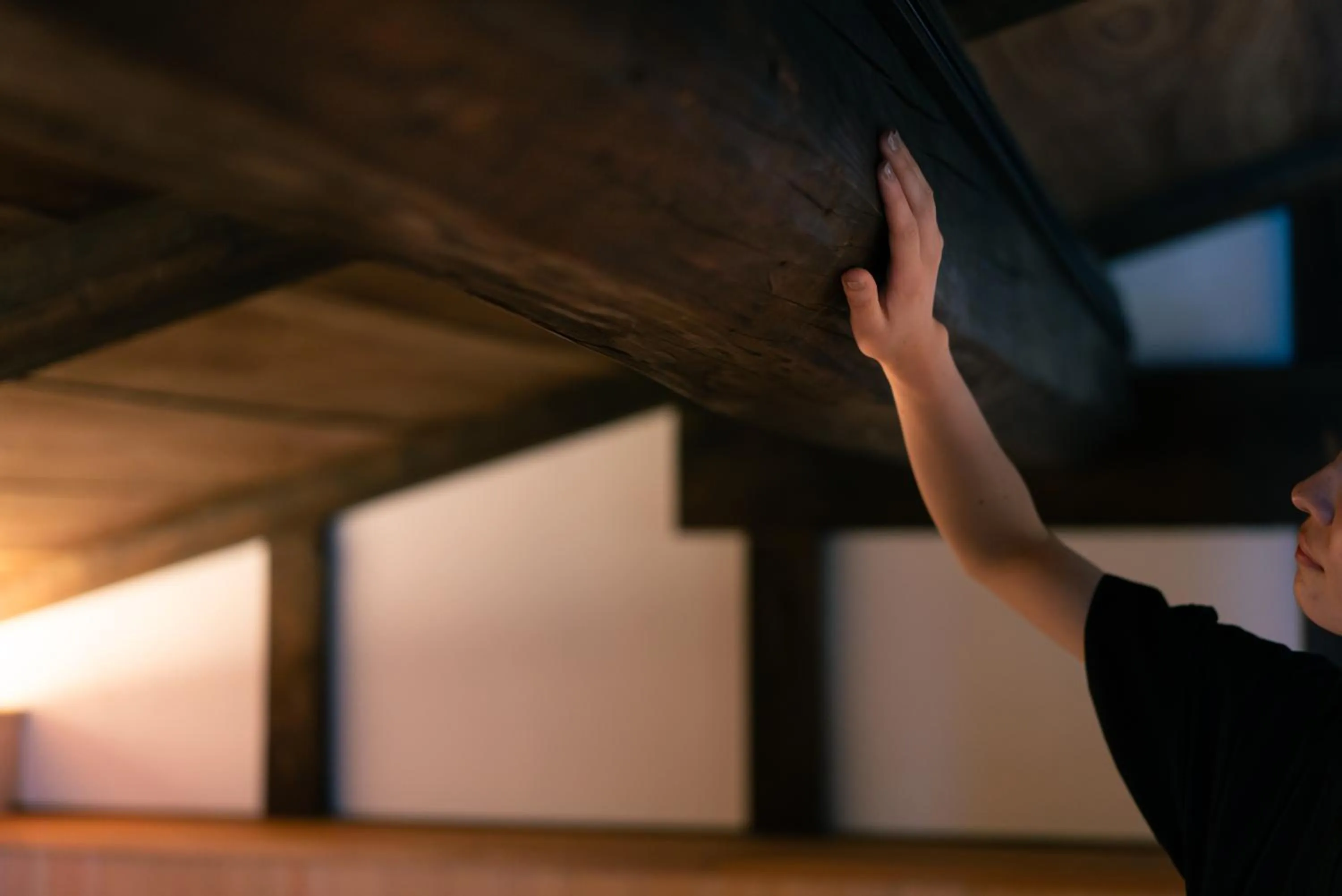 Photo of the whole room in BYAKU Narai