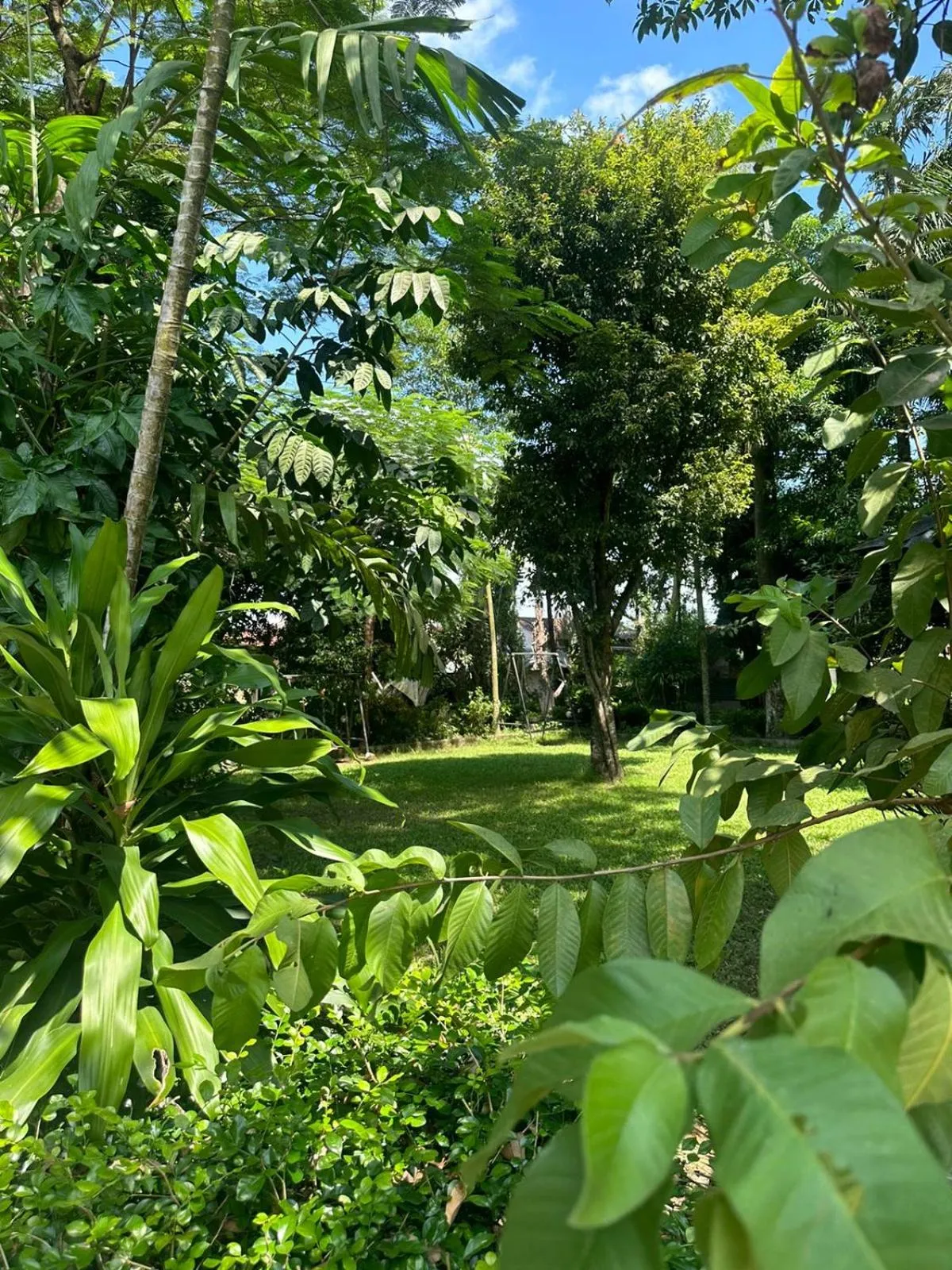 Natural landscape in Hotel Parkside