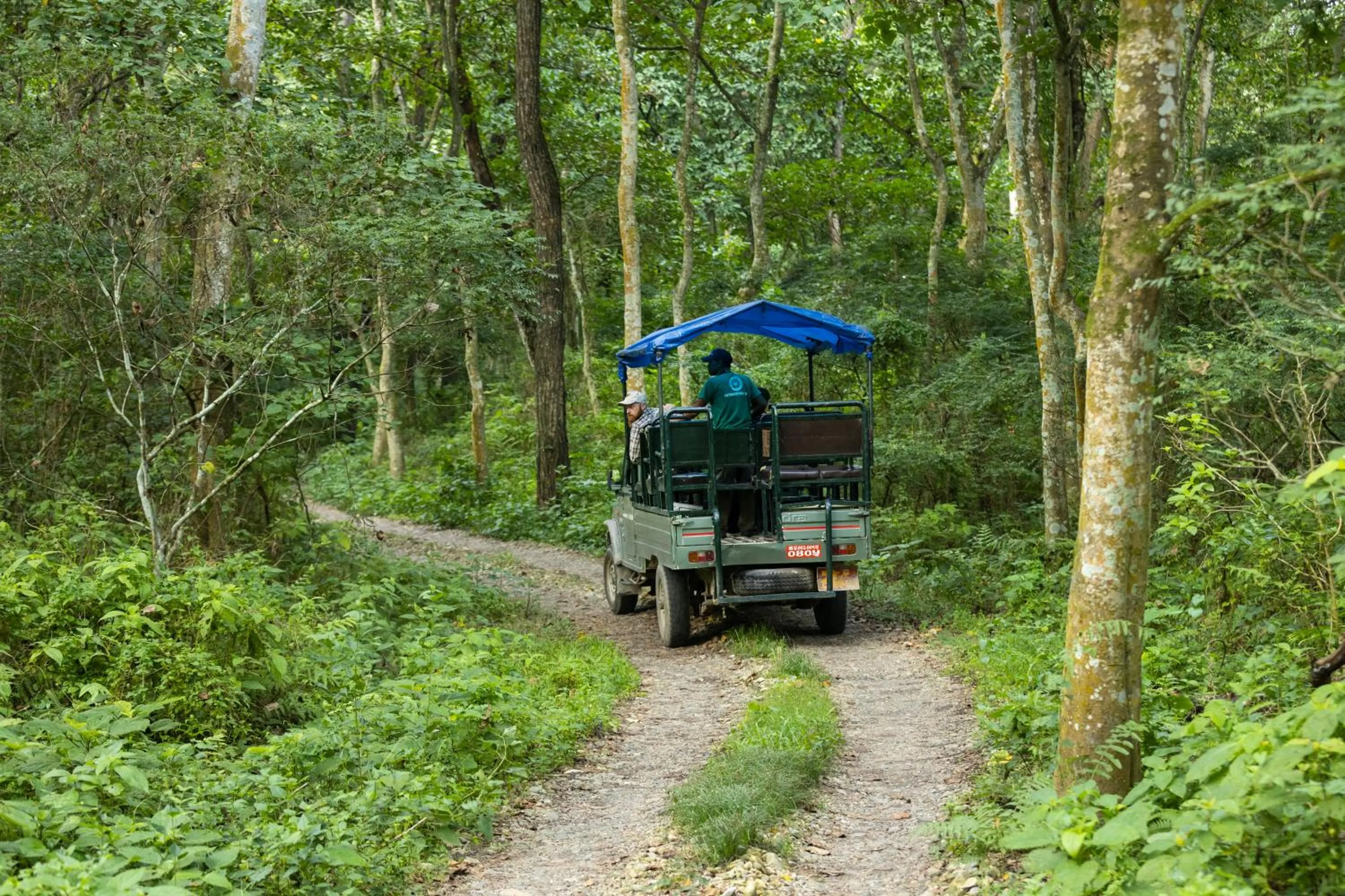 Natural landscape in Hotel Parkside