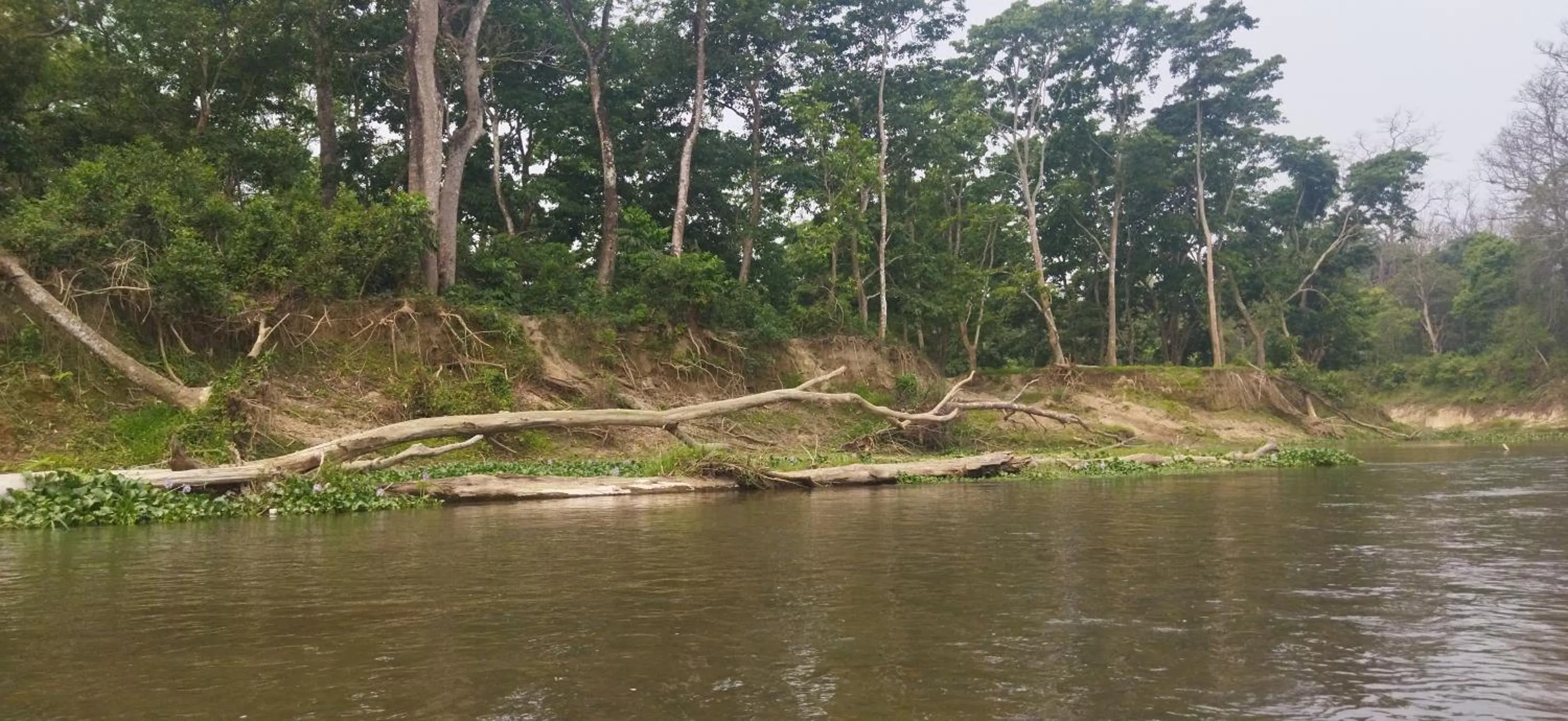 Natural landscape in Hotel Parkside
