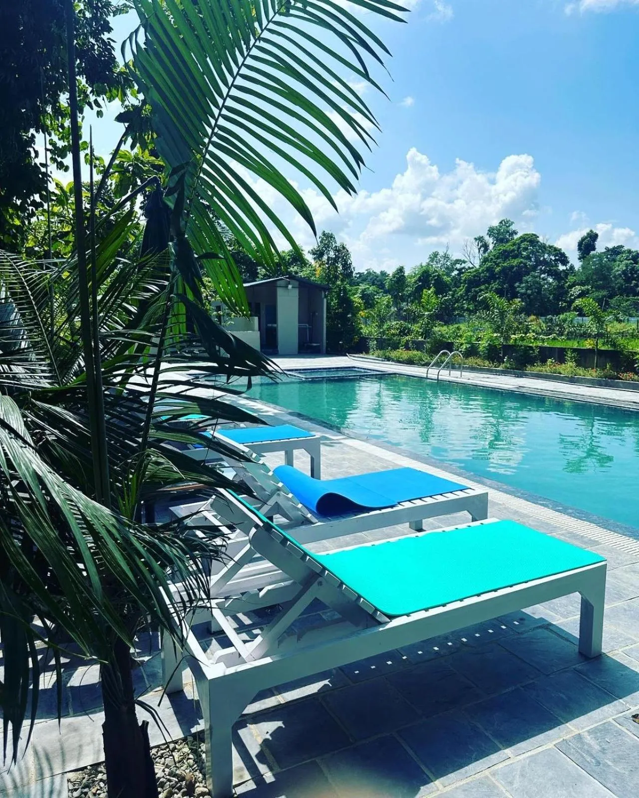 Natural landscape in Hotel Parkside