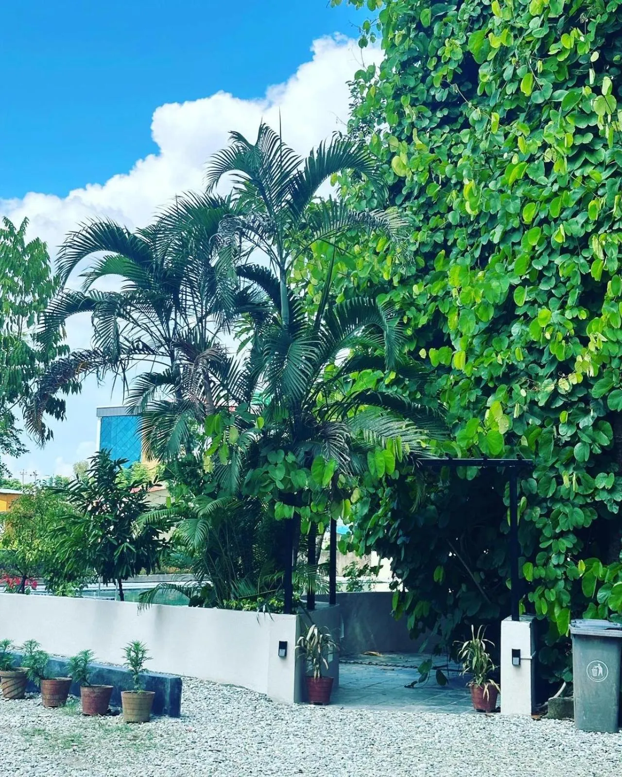 Day in Hotel Parkside