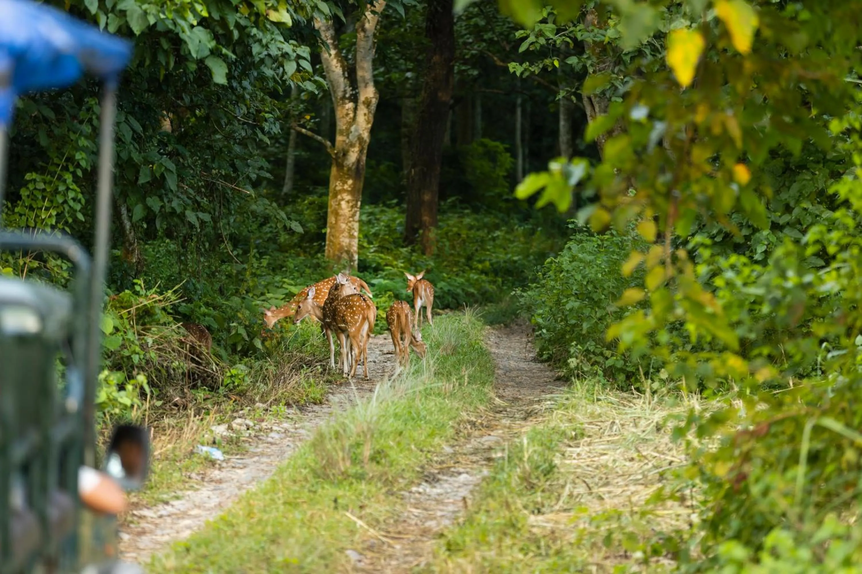 Natural landscape in Hotel Parkside