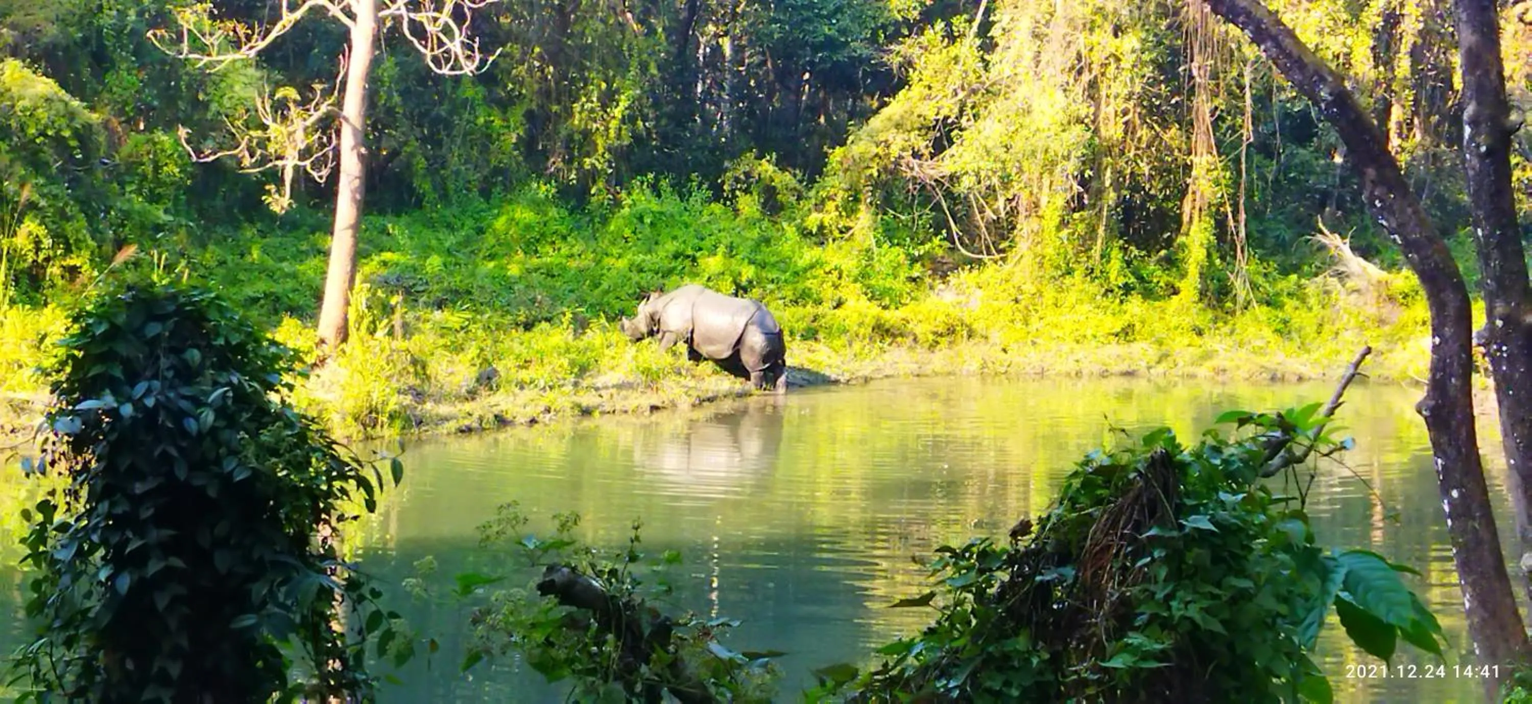 Natural landscape in Hotel Parkside