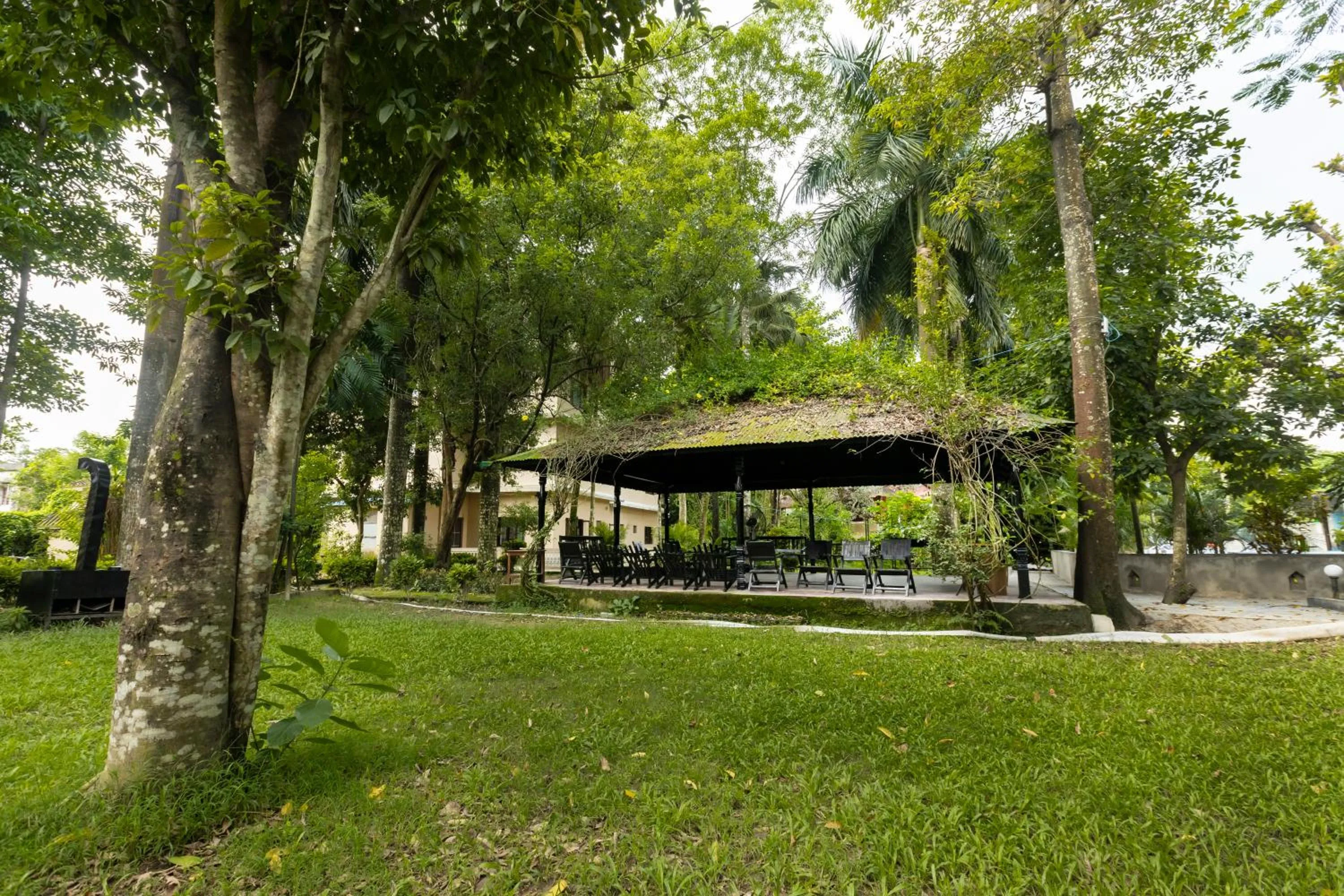 Natural landscape in Hotel Parkside