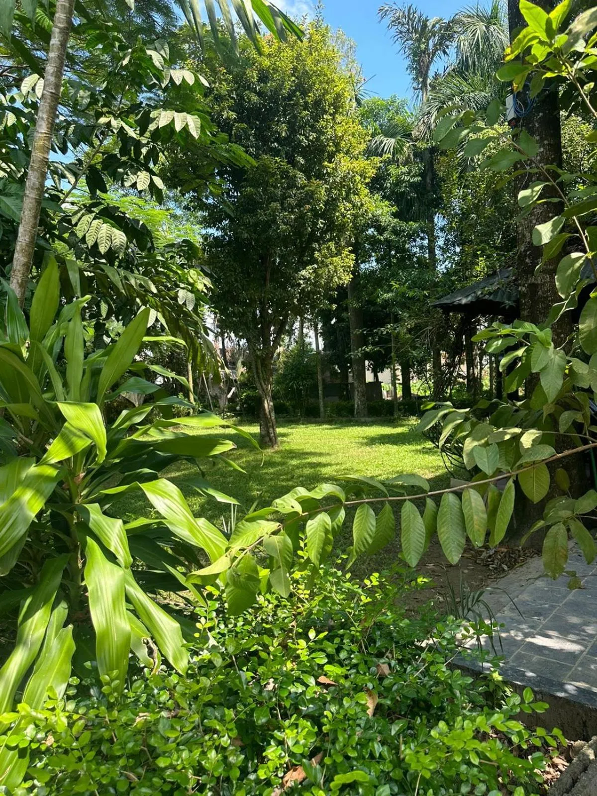 Natural landscape in Hotel Parkside