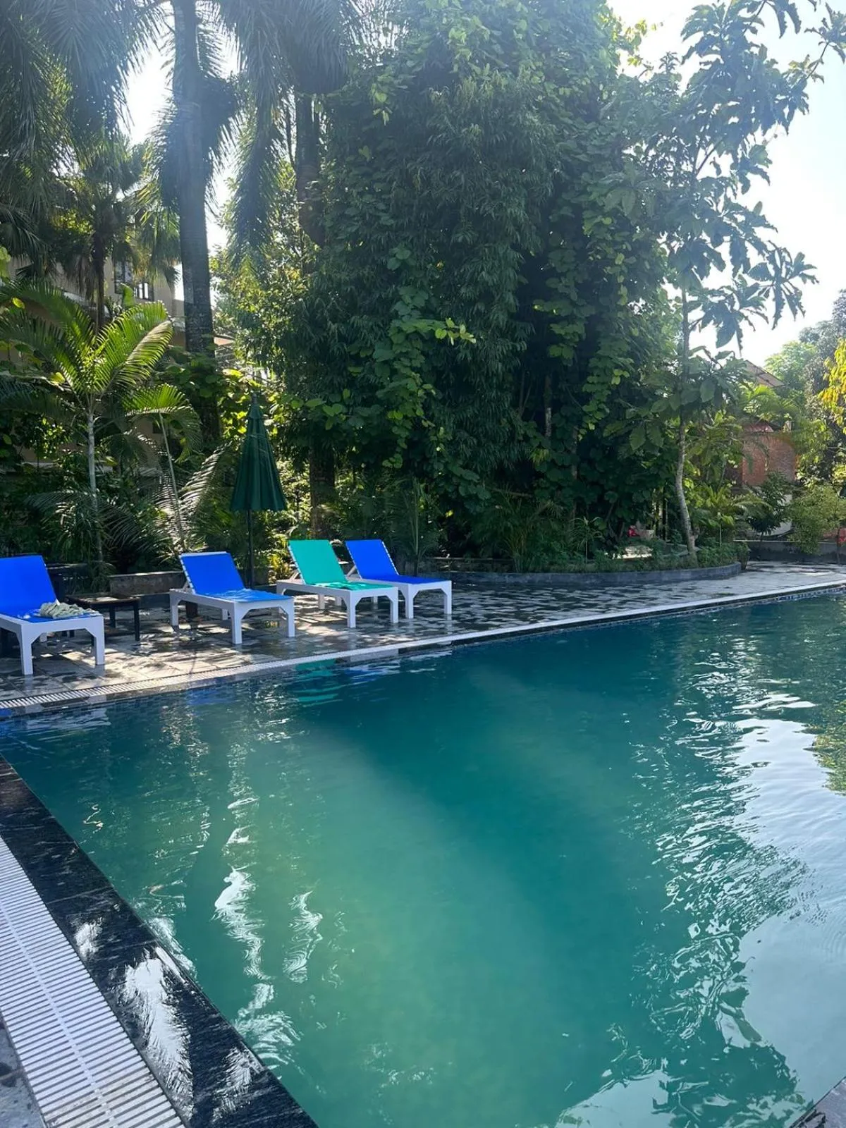 Natural landscape in Hotel Parkside