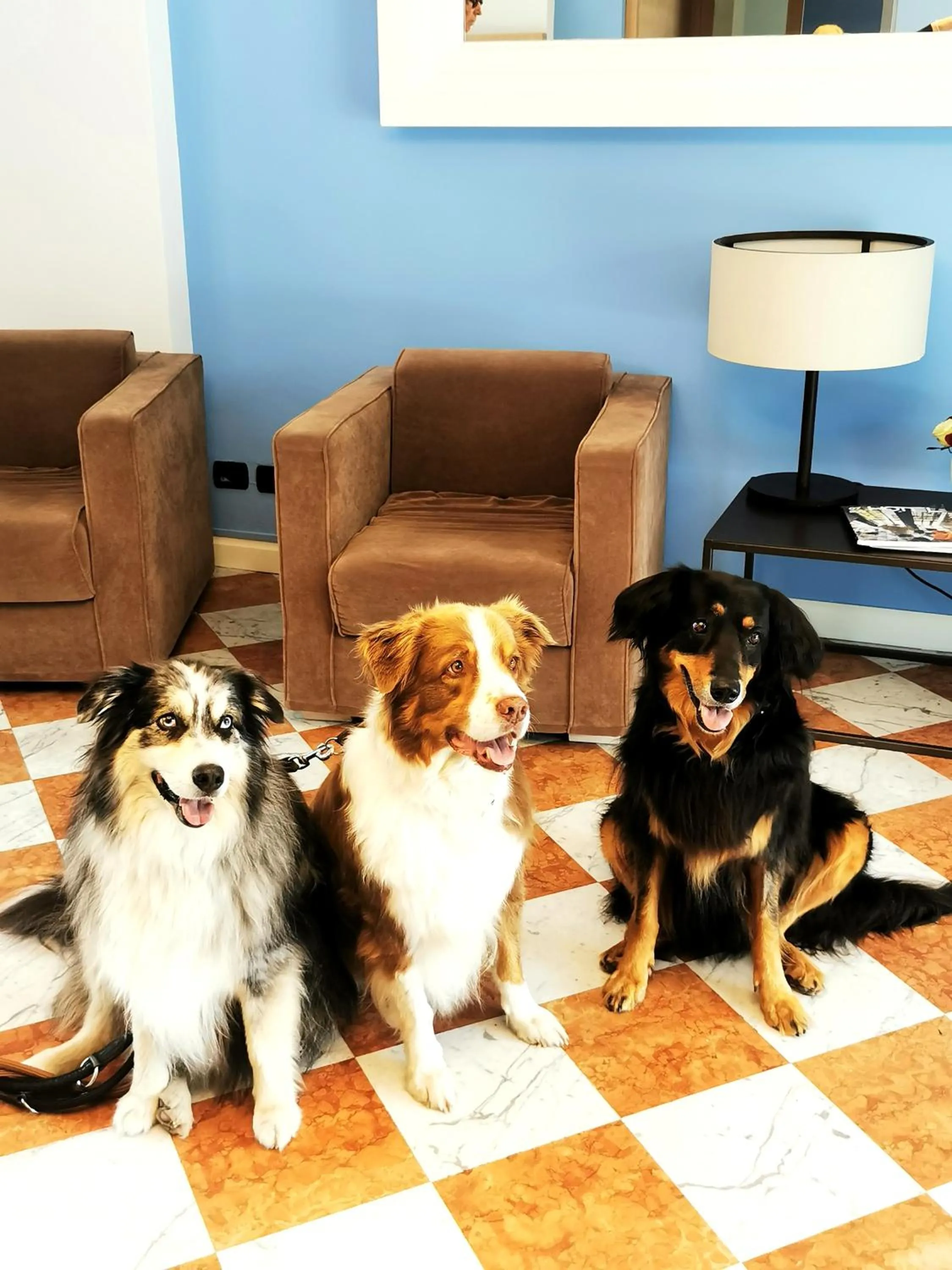 Pets in Aquazzurra Resort & Aparthotel