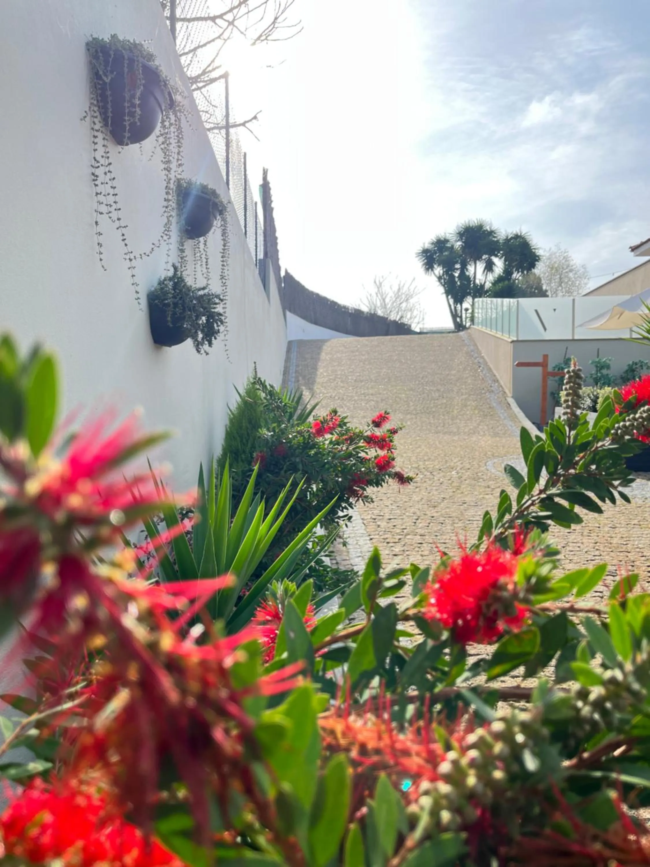 Garden in Villarit Porto