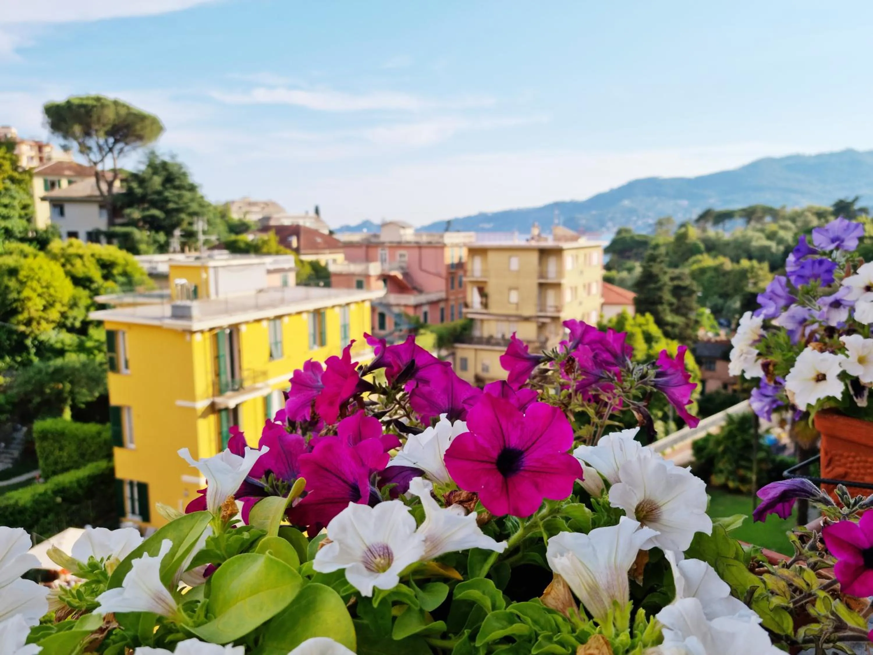 View (from property/room) in Hotel Canali - Le Cinque Terre