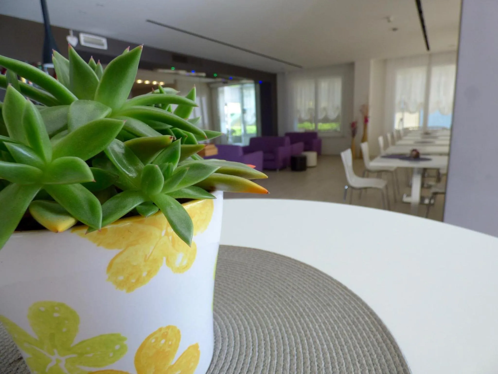 Lounge or bar in Mon Repos