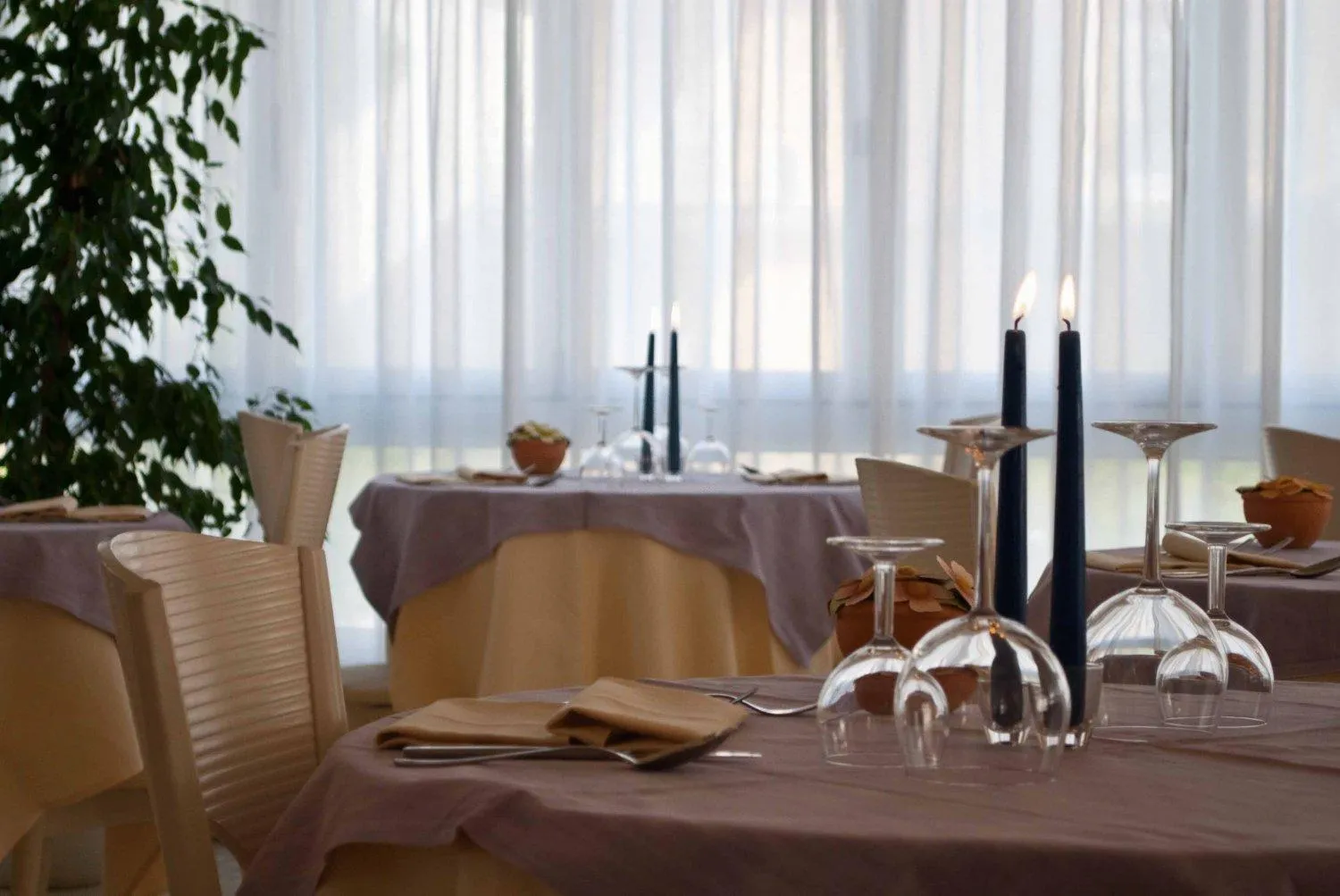 Restaurant/places to eat in Hotel Torino