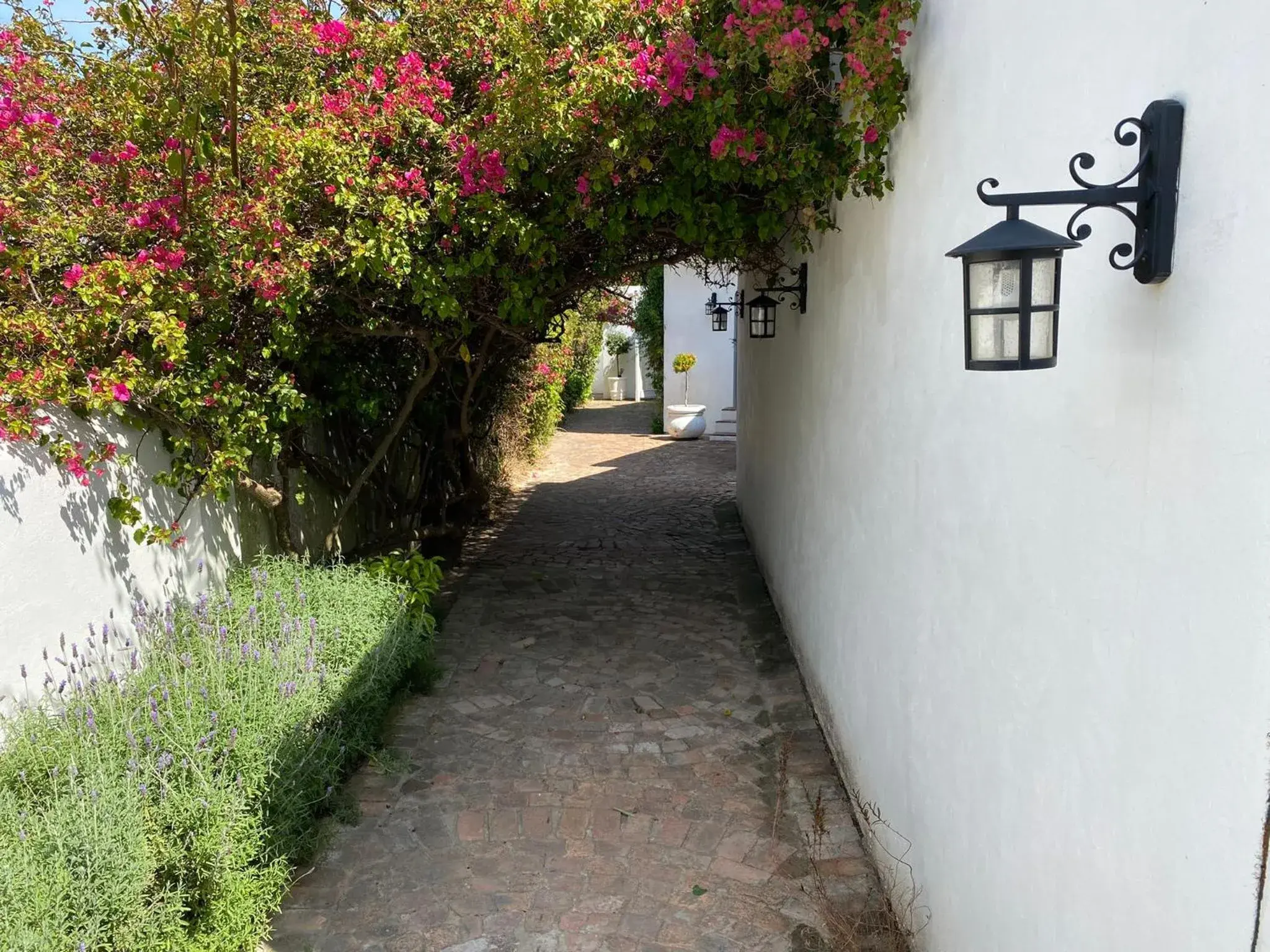 Facade/entrance in Mirabelle Guesthouse Facade/entrance in Mirabelle Guesthouse