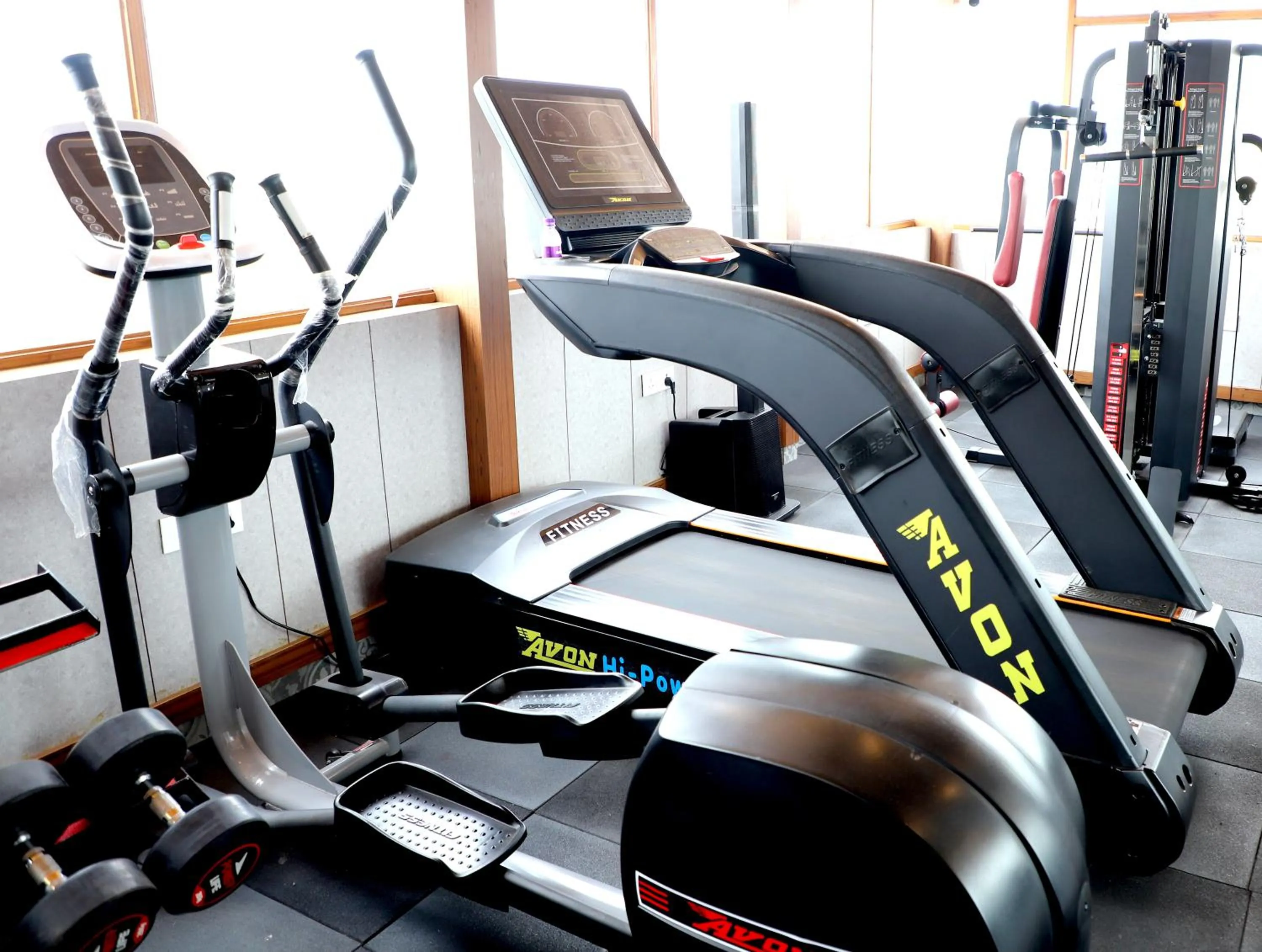 Fitness centre/facilities in Effotel By Sayaji Dehradun