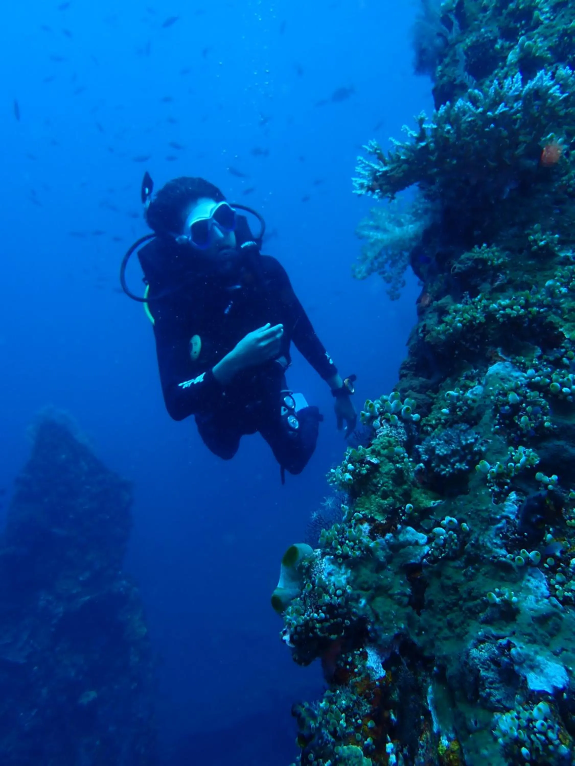 Diving in Palm Springs Bali Dive Resort
