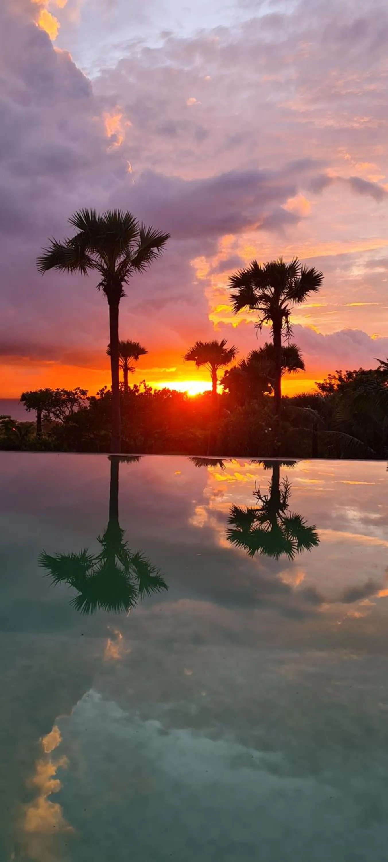 Sunrise in Palm Springs Bali Dive Resort