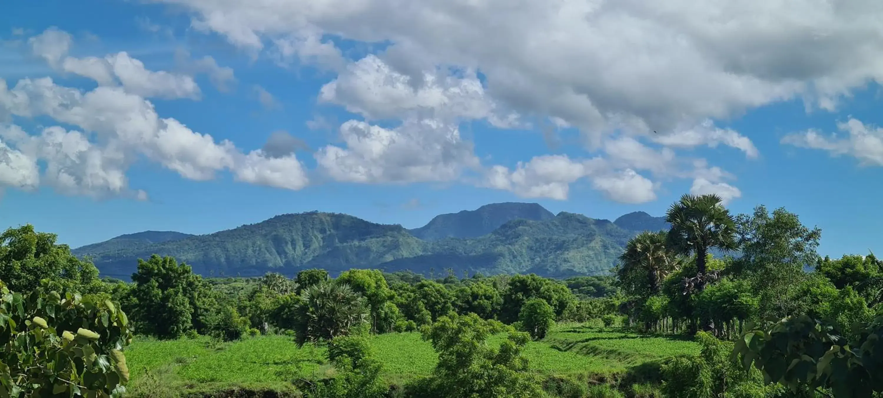Mountain view in Palm Springs Bali Dive Resort Mountain view in Palm Springs Bali Dive Resort