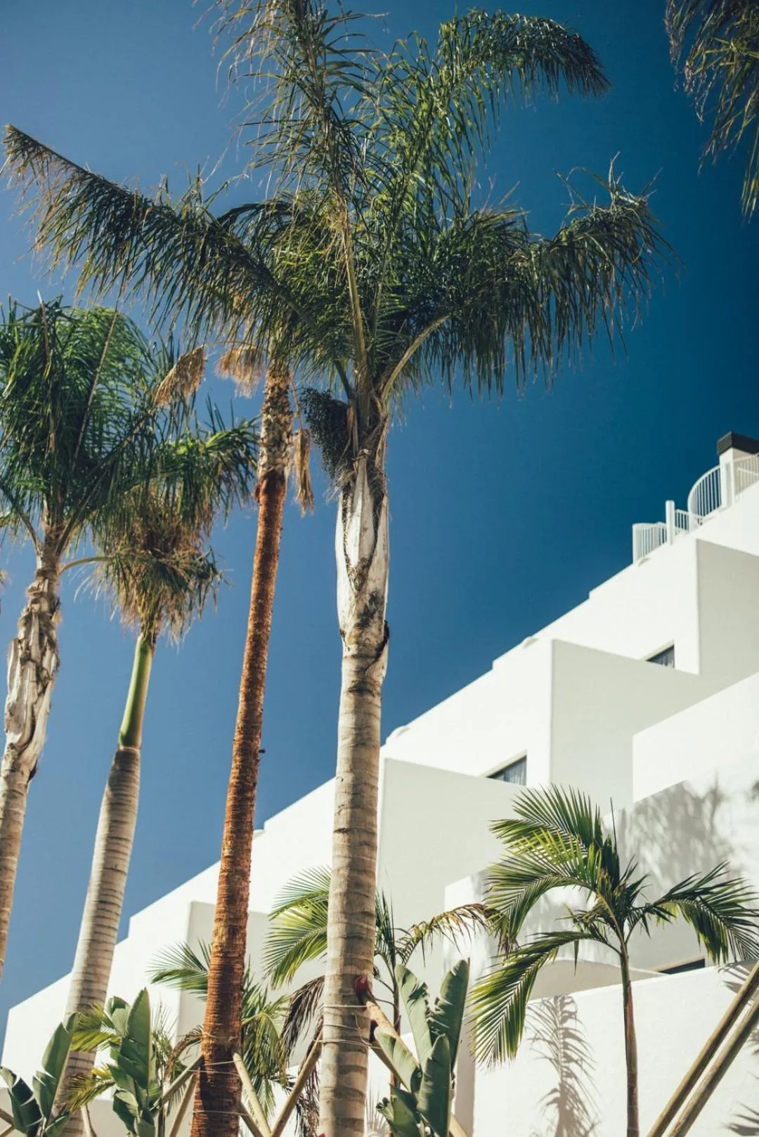 Property building in Cala Lanuza Suites