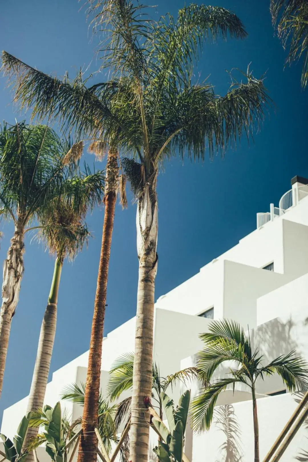 Property building in Cala Lanuza Suites Property building in Cala Lanuza Suites