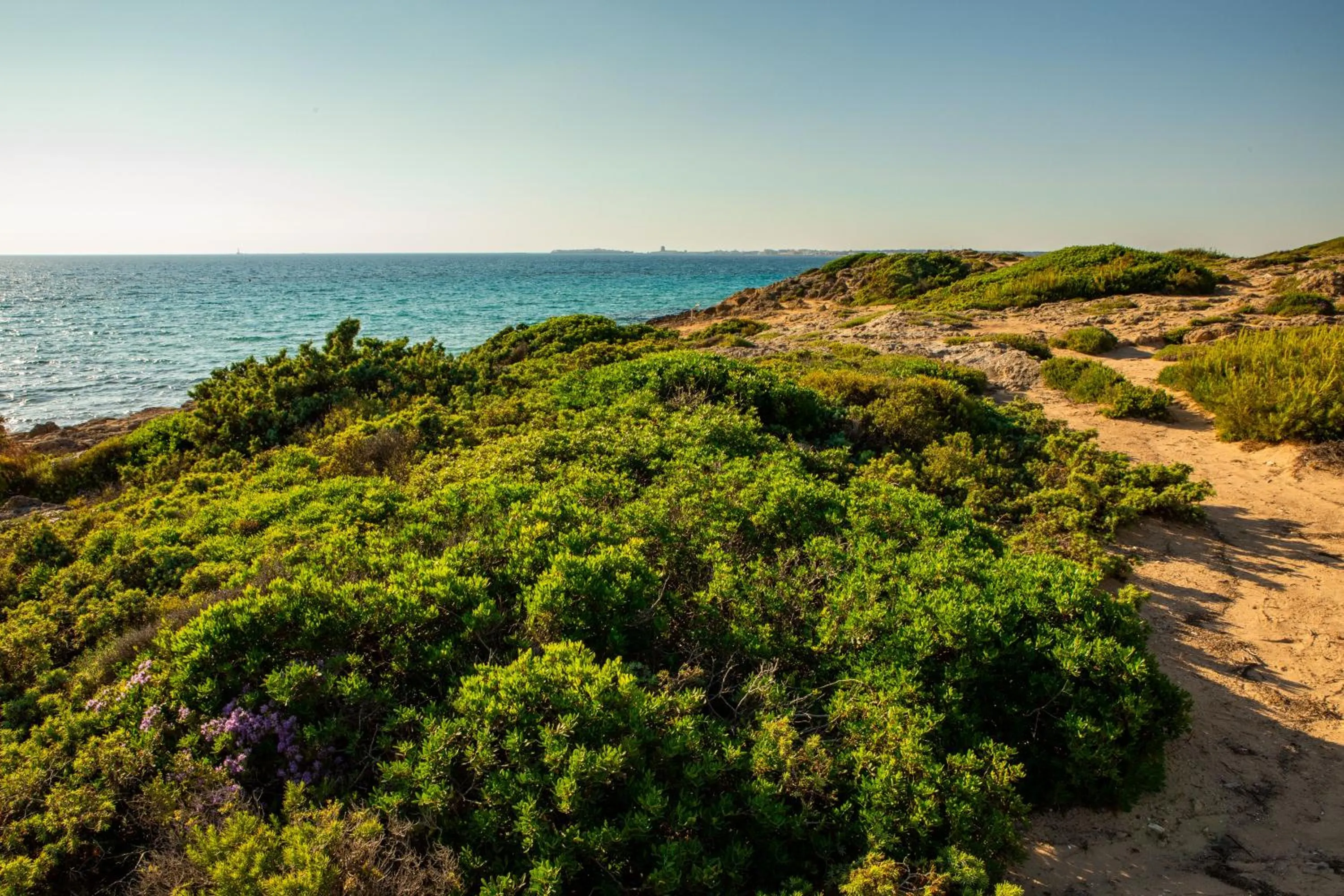 Giardino Dei Pini - Boutique Hotel