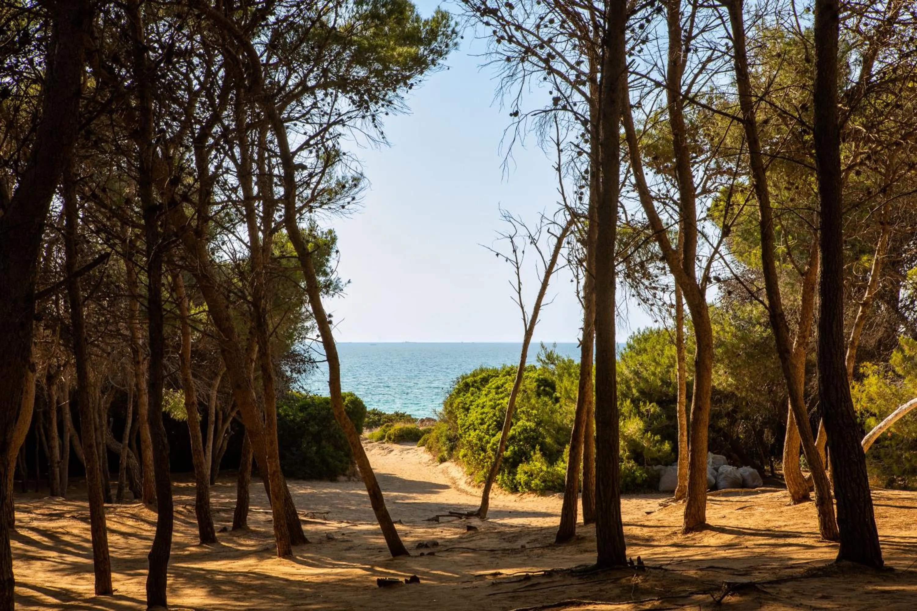 Giardino Dei Pini - Boutique Hotel