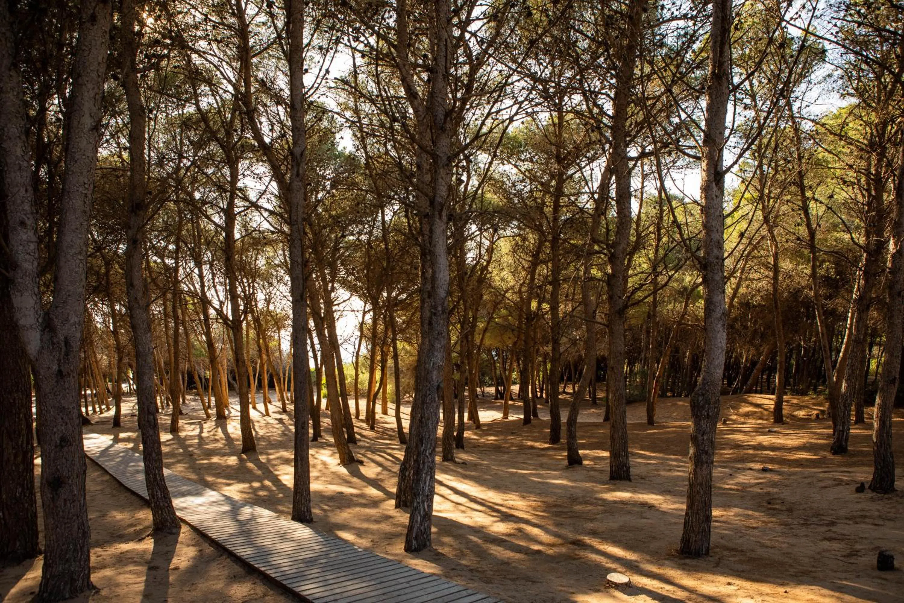 Giardino Dei Pini - Boutique Hotel