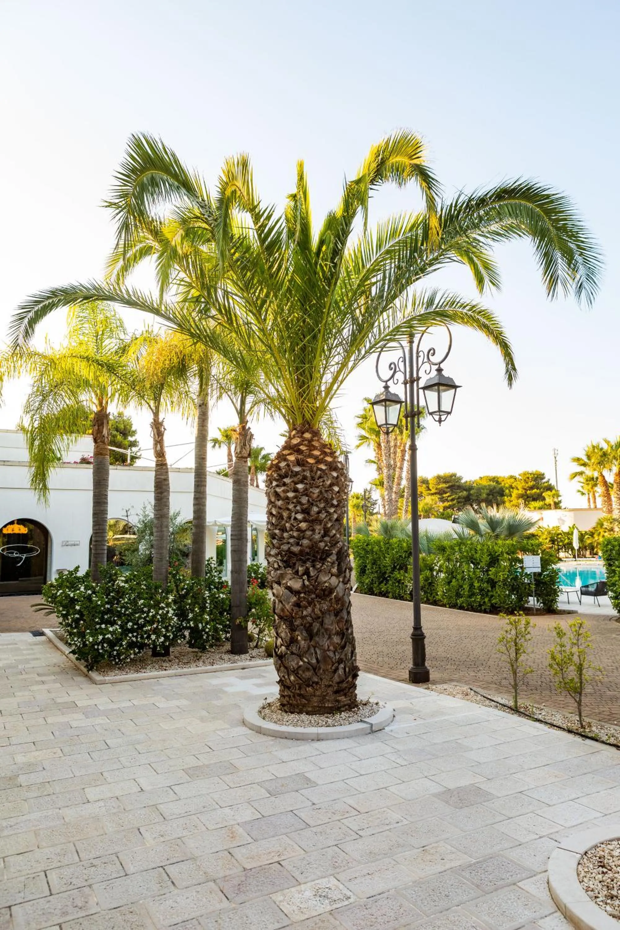 Garden in Giardino Dei Pini - Boutique Hotel