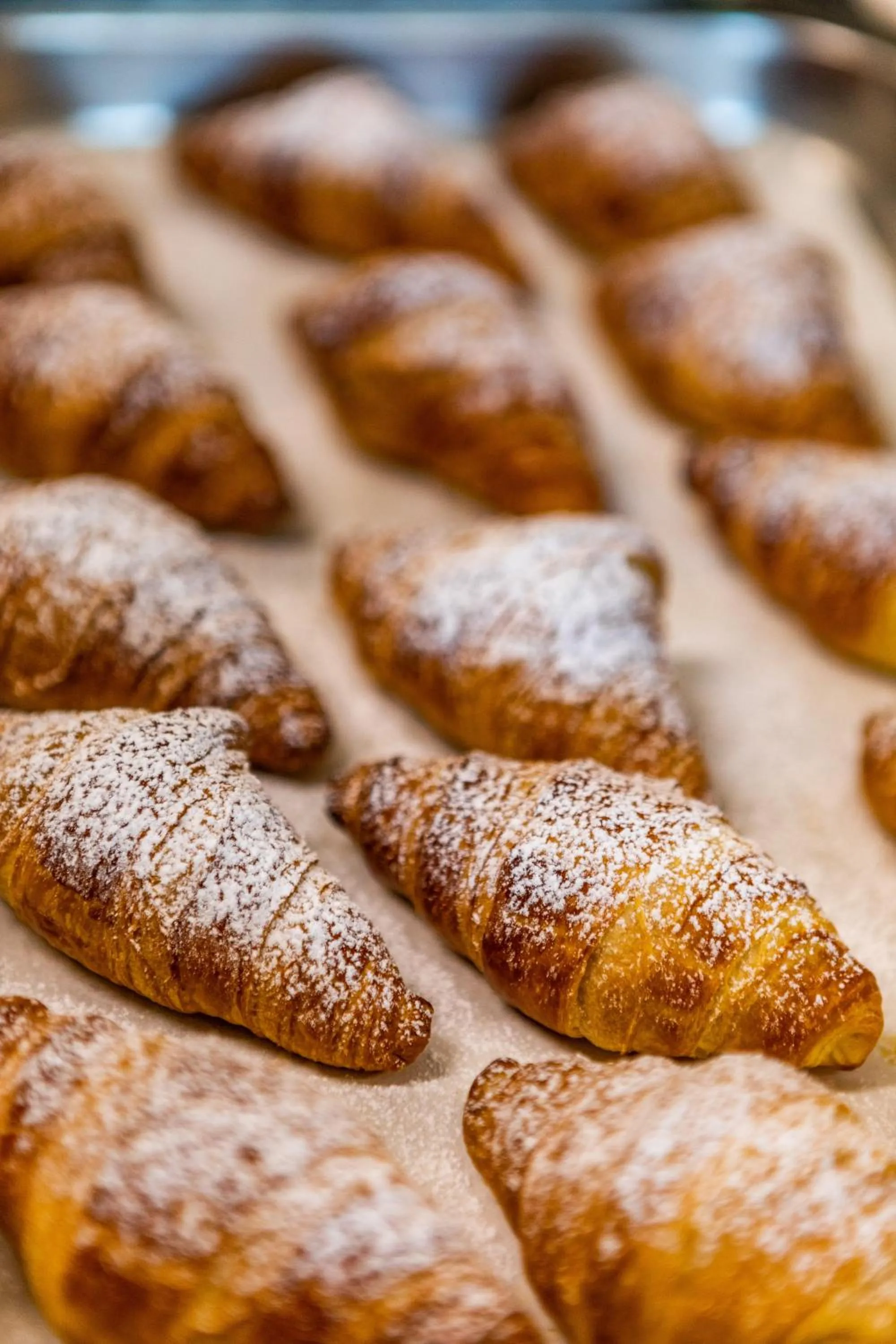 Giardino Dei Pini - Boutique Hotel