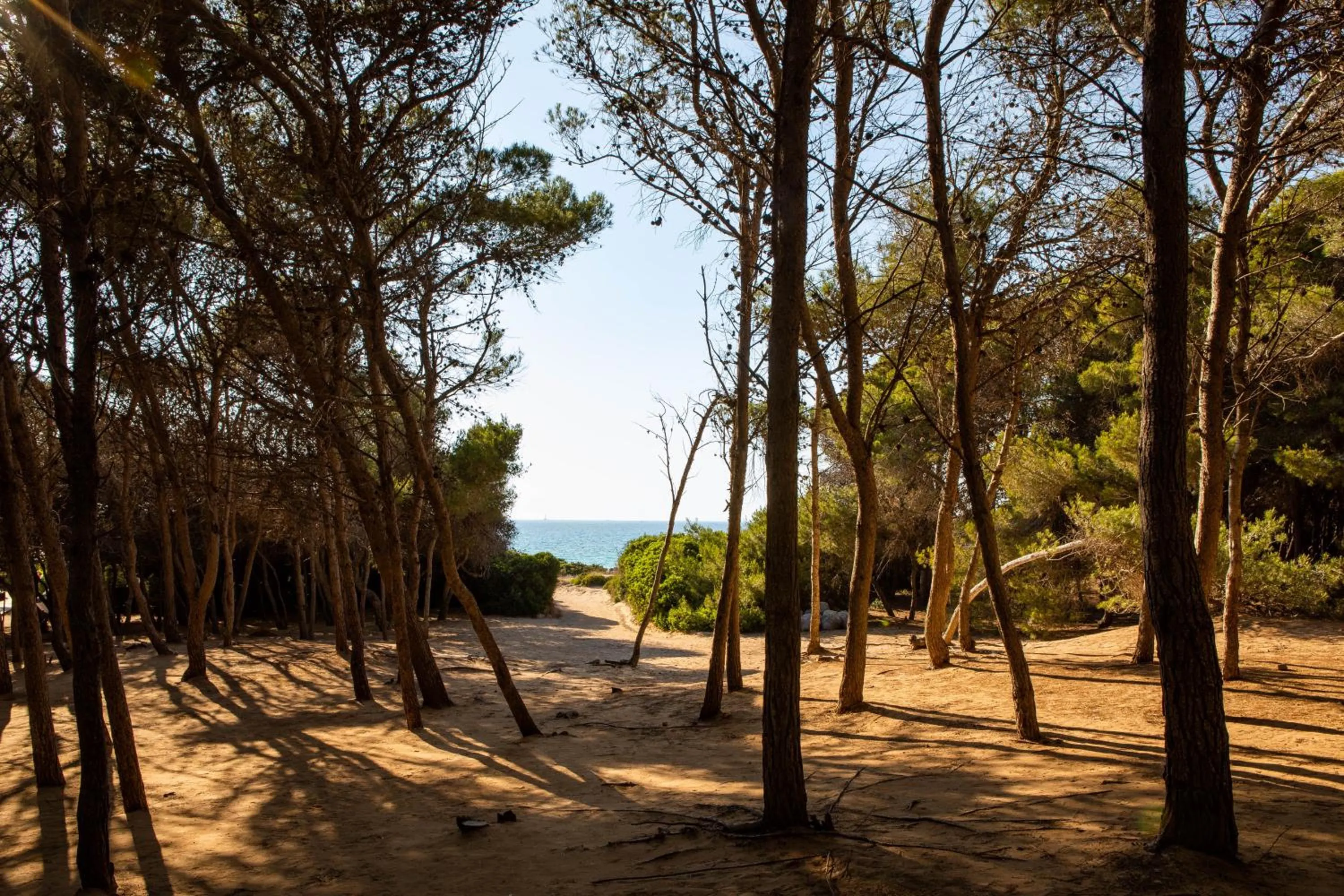 Giardino Dei Pini - Boutique Hotel