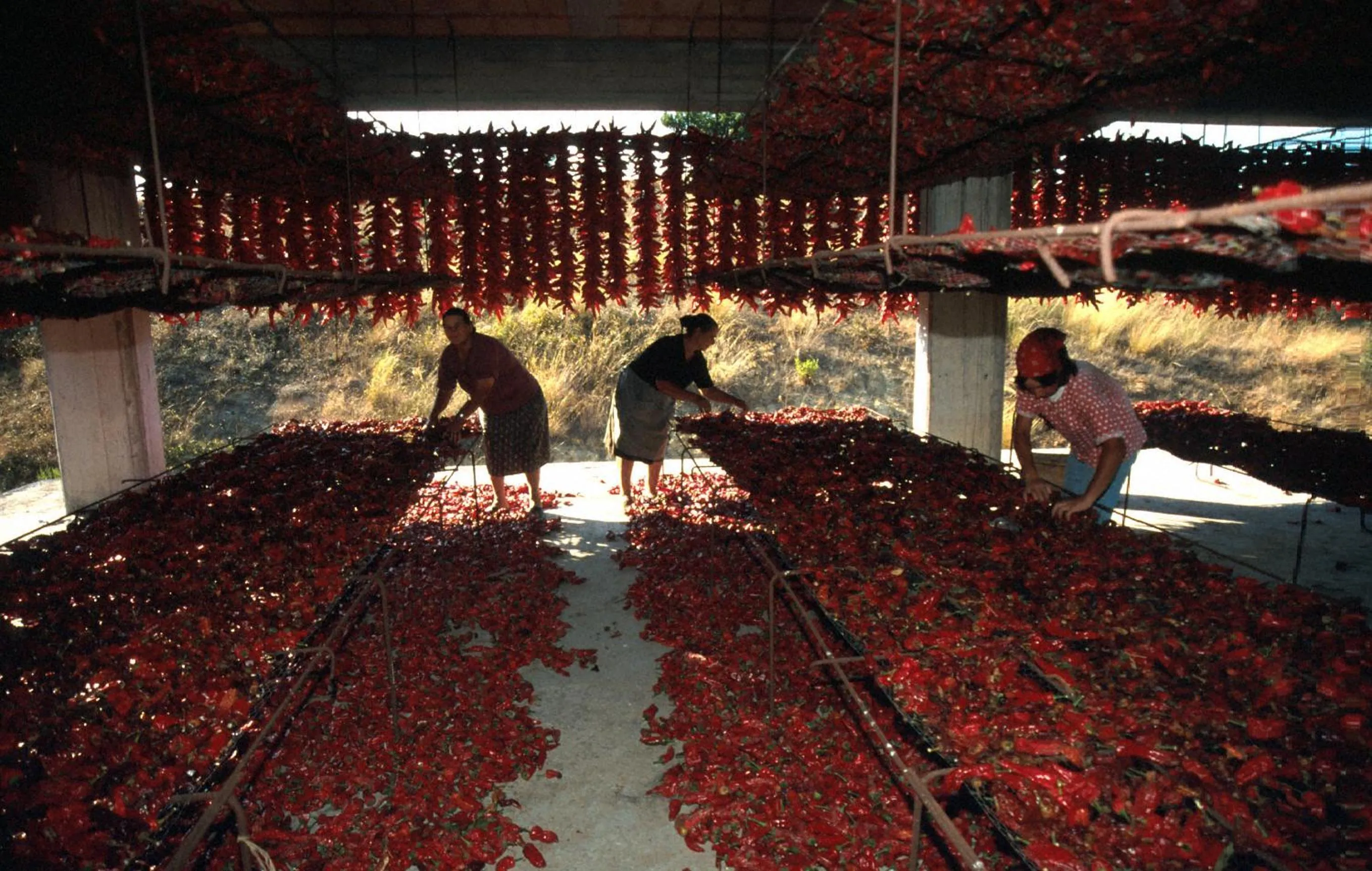 Staff in Romantic Hotel & Restaurant Villa Cheta Elite