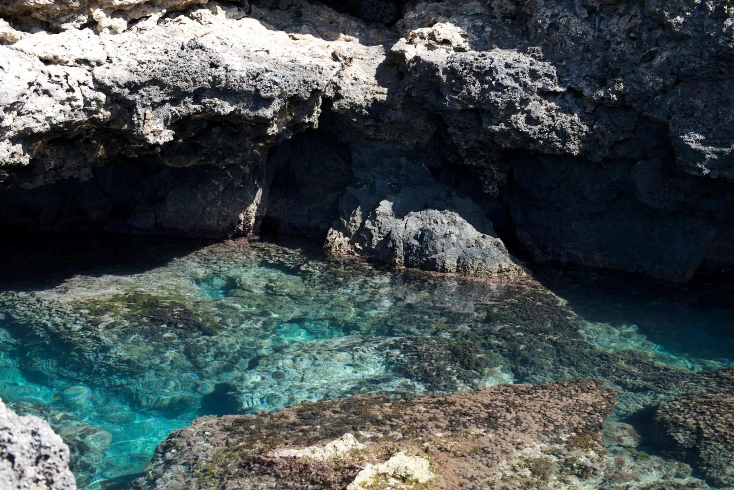 Other in Romantic Hotel & Restaurant Villa Cheta Elite