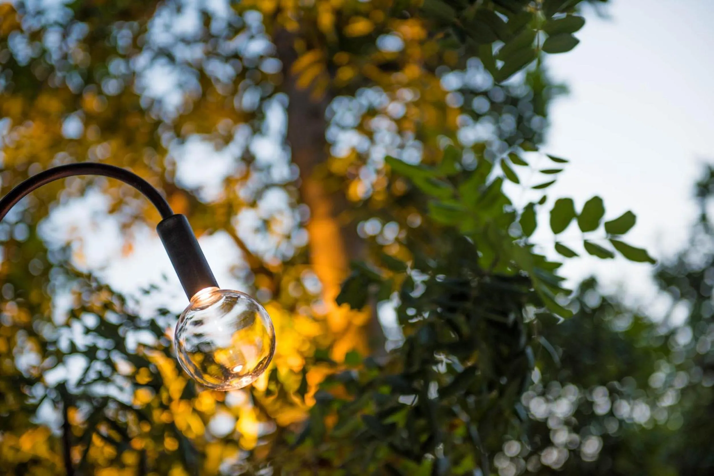 Garden in Romantic Hotel & Restaurant Villa Cheta Elite