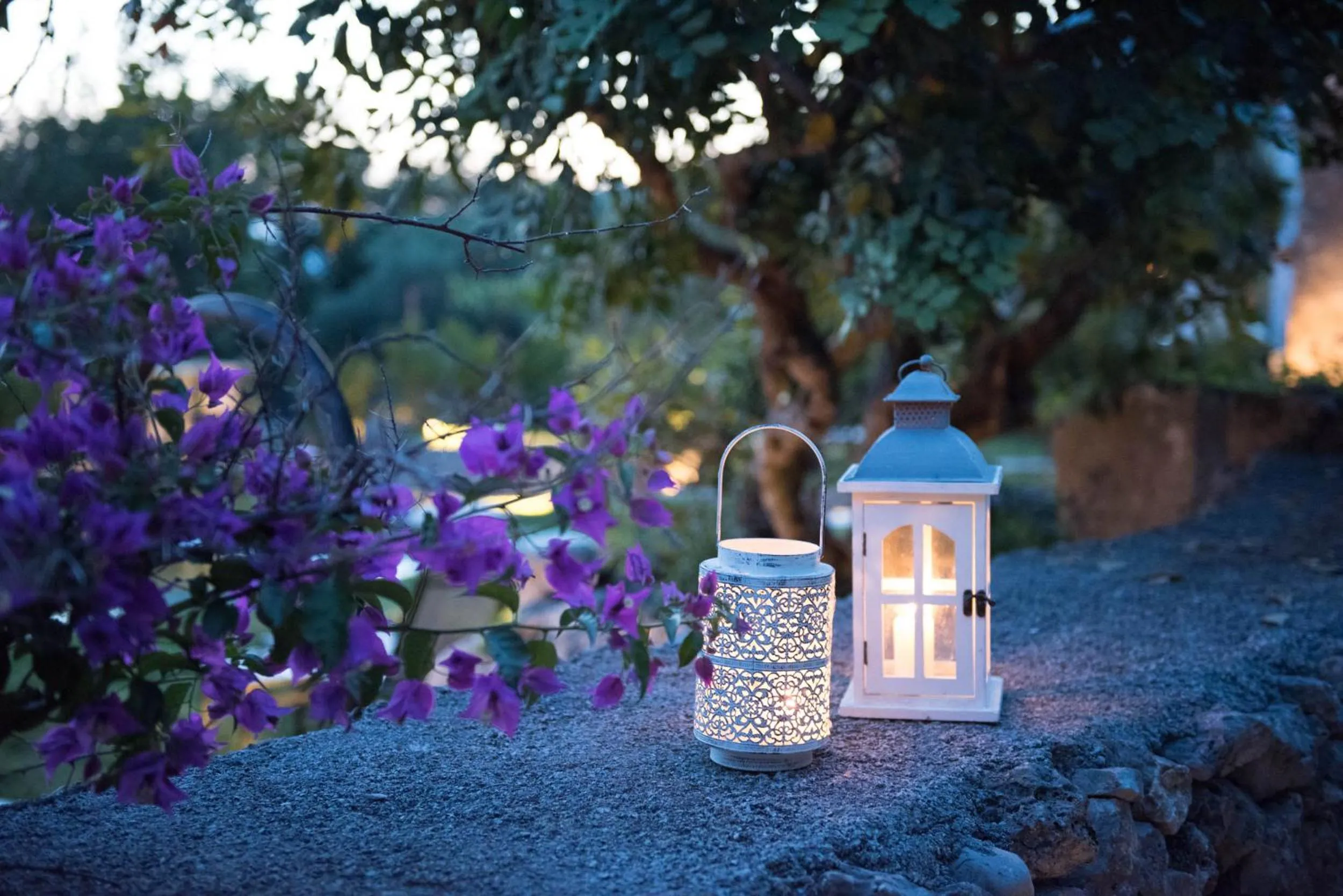 Garden view in Romantic Hotel & Restaurant Villa Cheta Elite