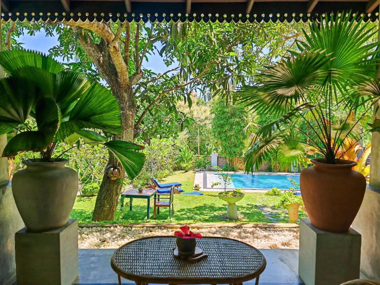 View (from property/room) in Villa Lyvie ayurvedic hotel