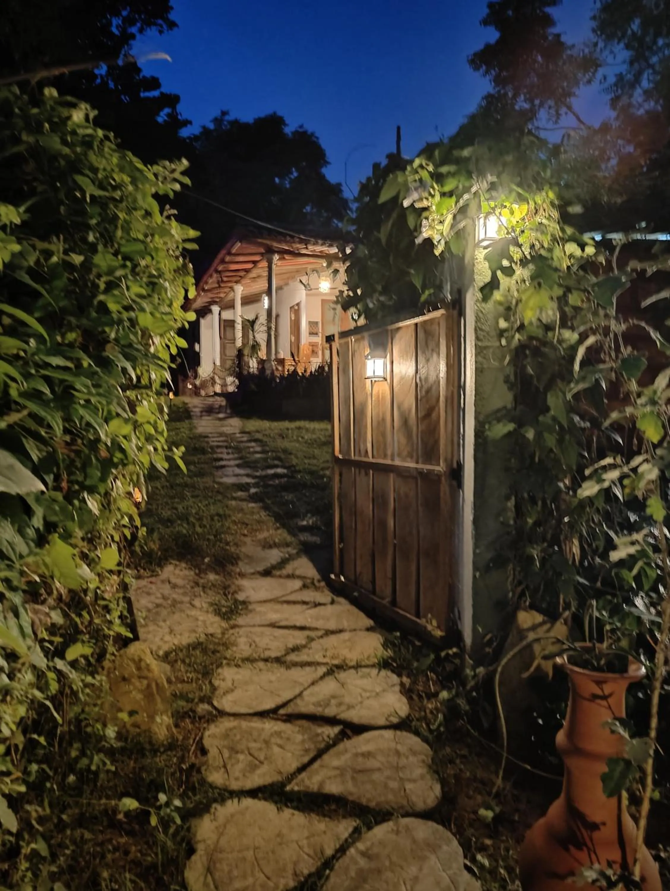 Restaurant/places to eat in Villa Lyvie ayurvedic hotel