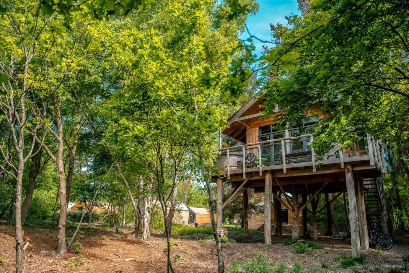 EuroParcs Ruinen EuroParcs Ruinen