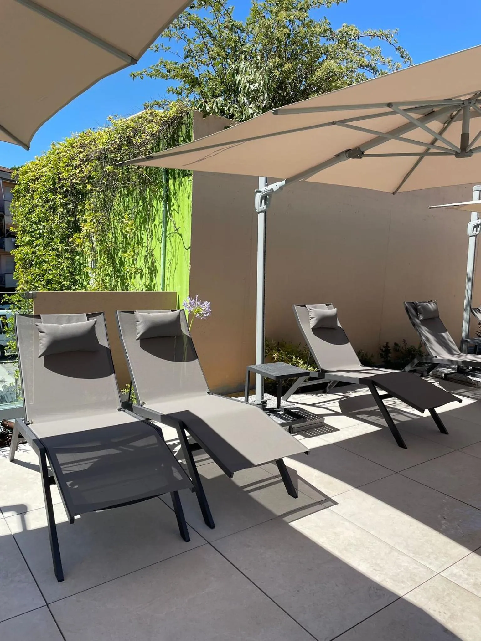 Swimming pool in San Ranieri Hotel