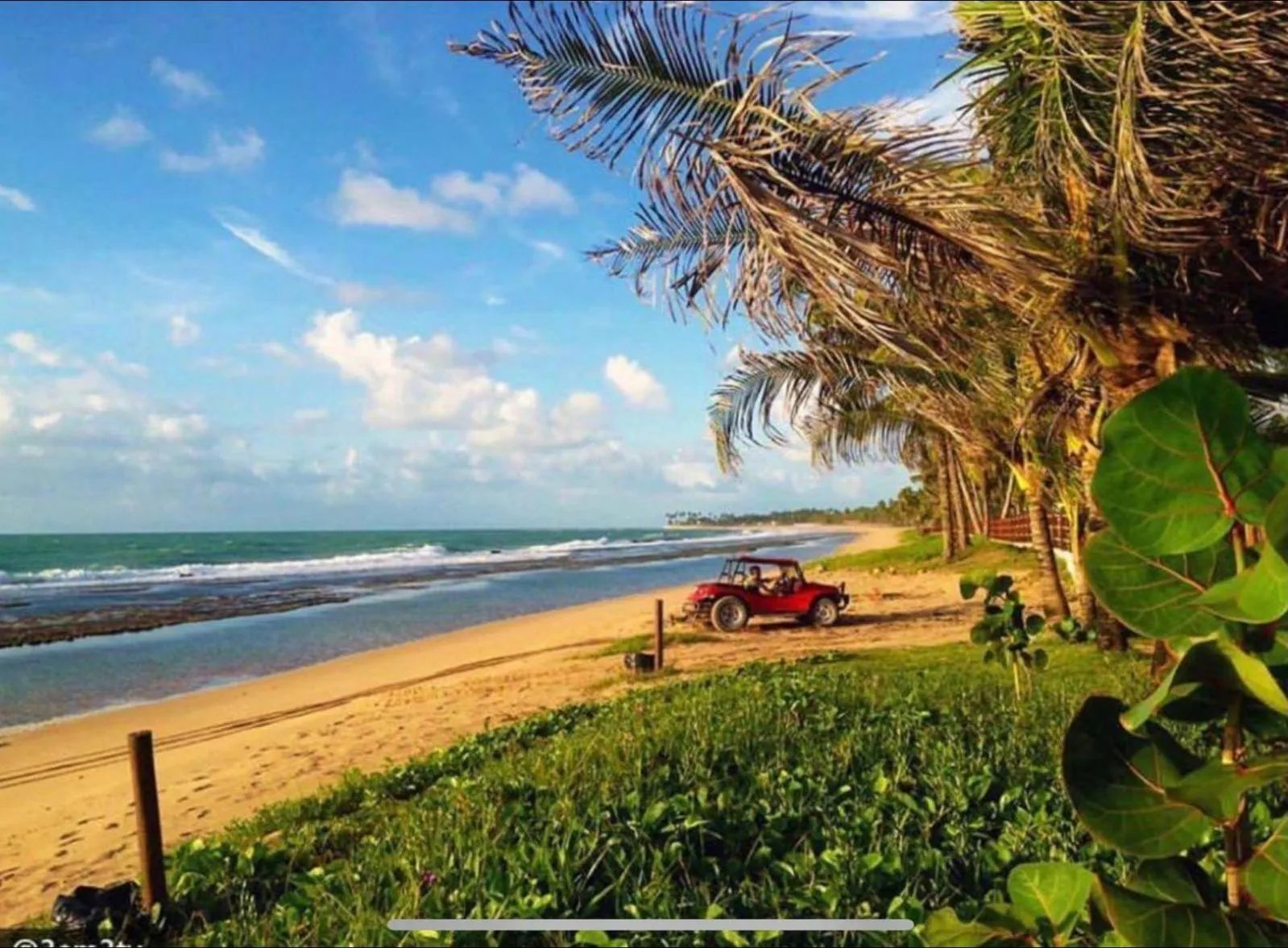 Natural landscape in Porto de Galinhas Resort Marulhos