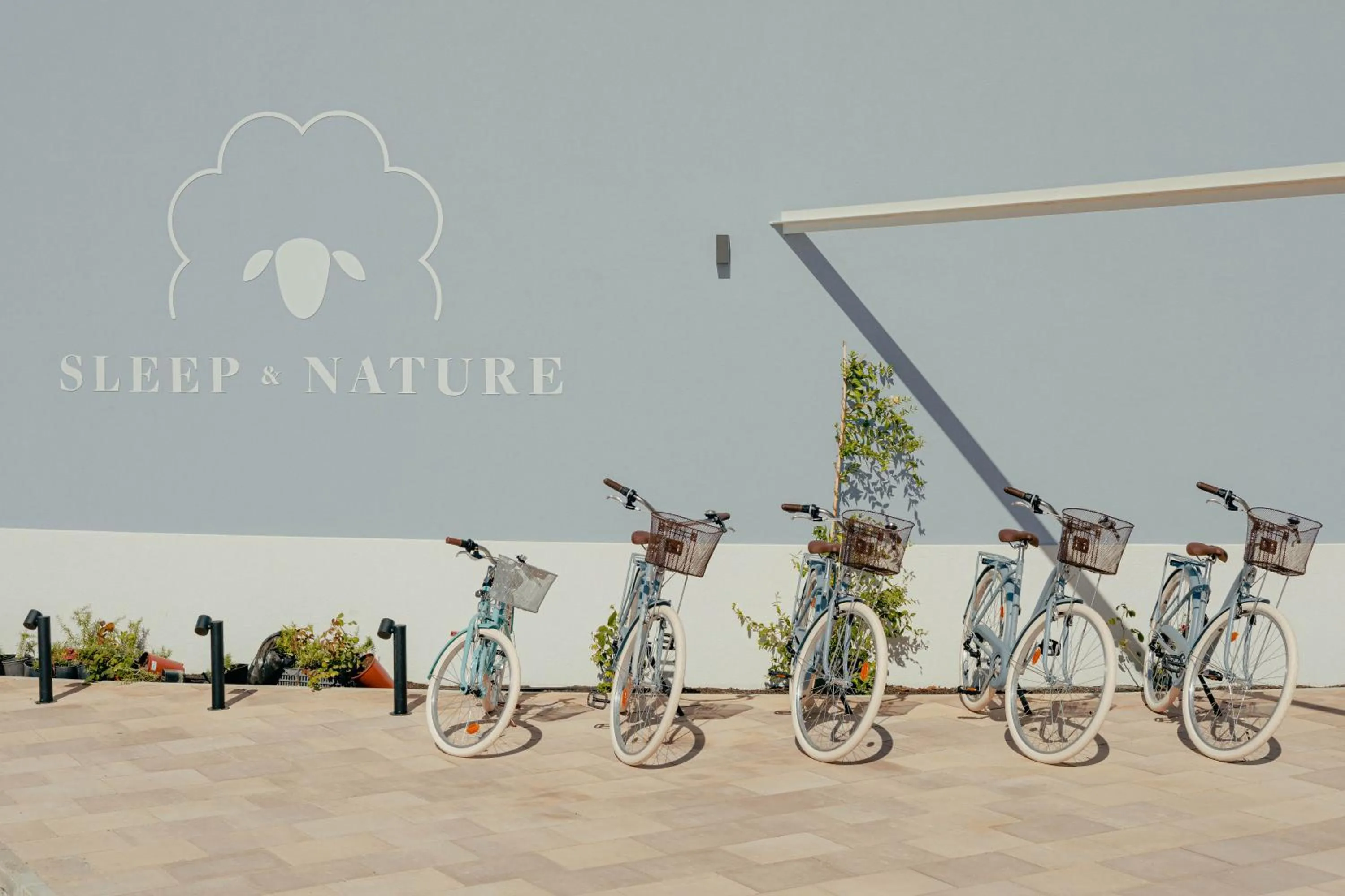 Activities in Sleep & Nature Hotel