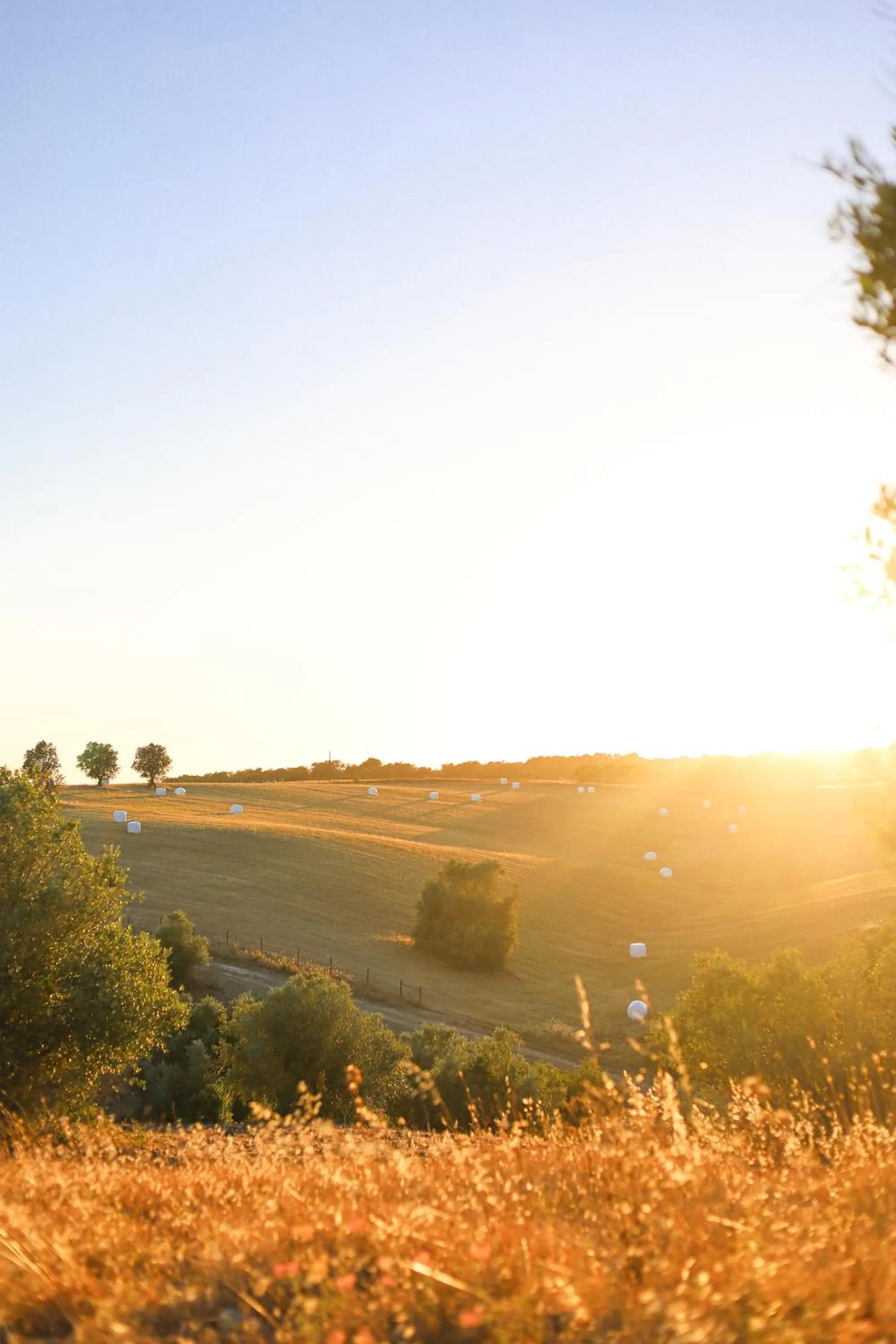 View (from property/room) in Sleep & Nature Hotel
