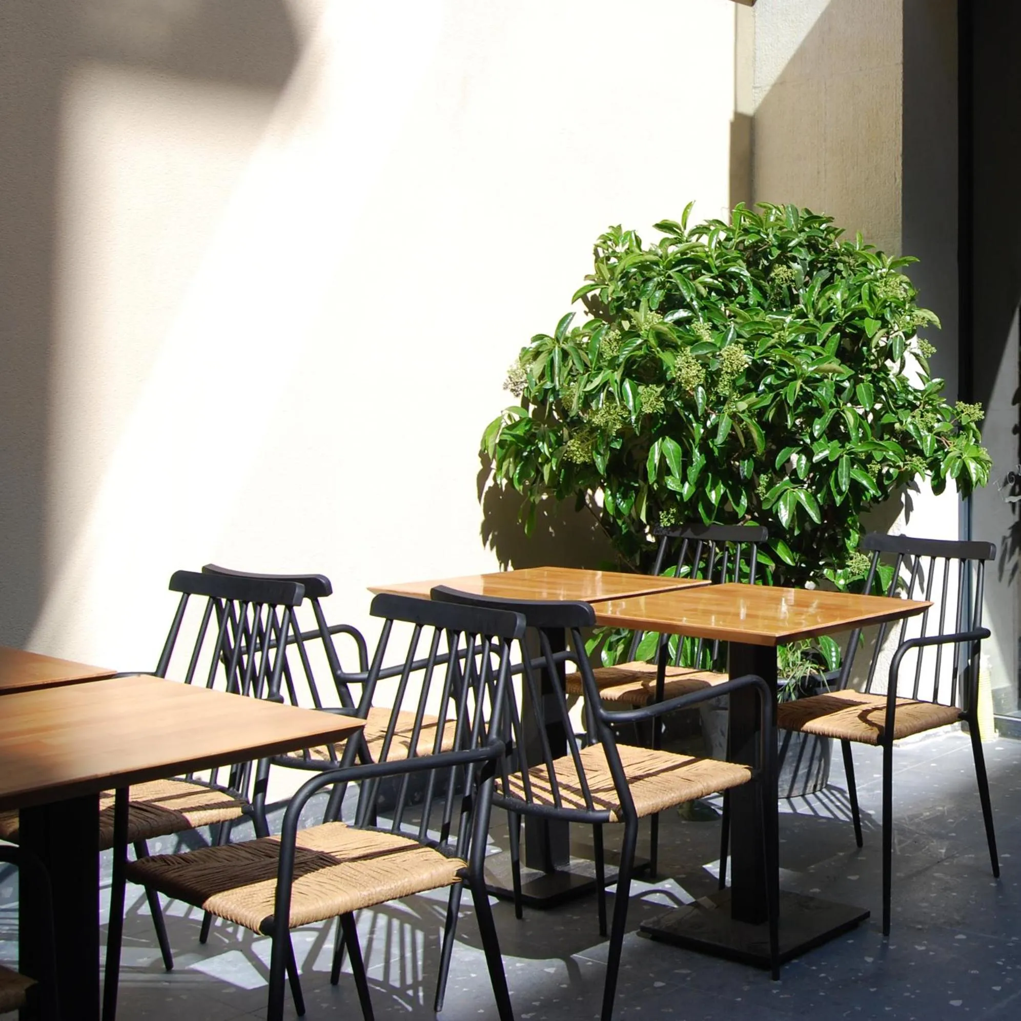 Garden in Four Sides Beyoglu